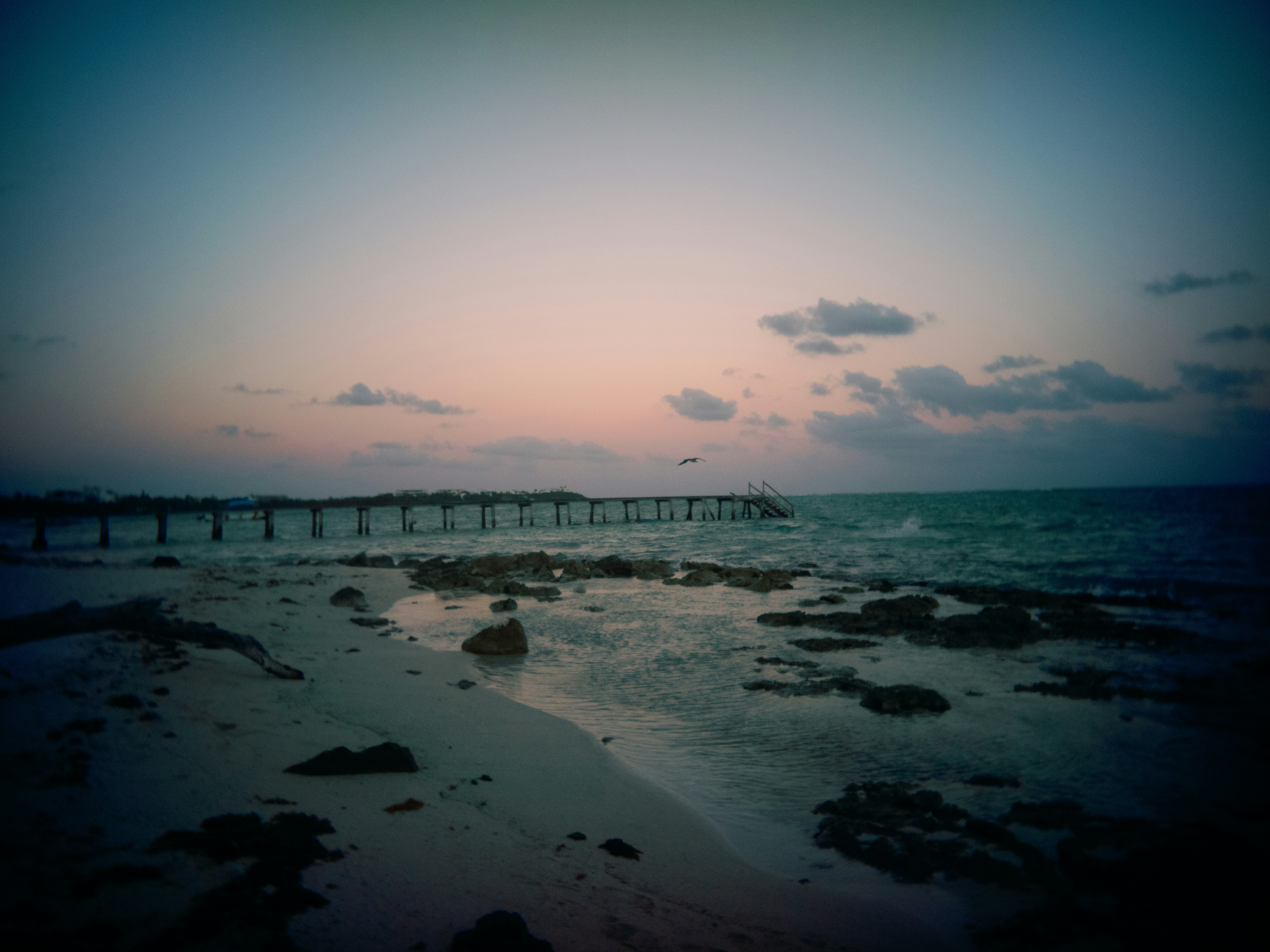 Photo by karl333