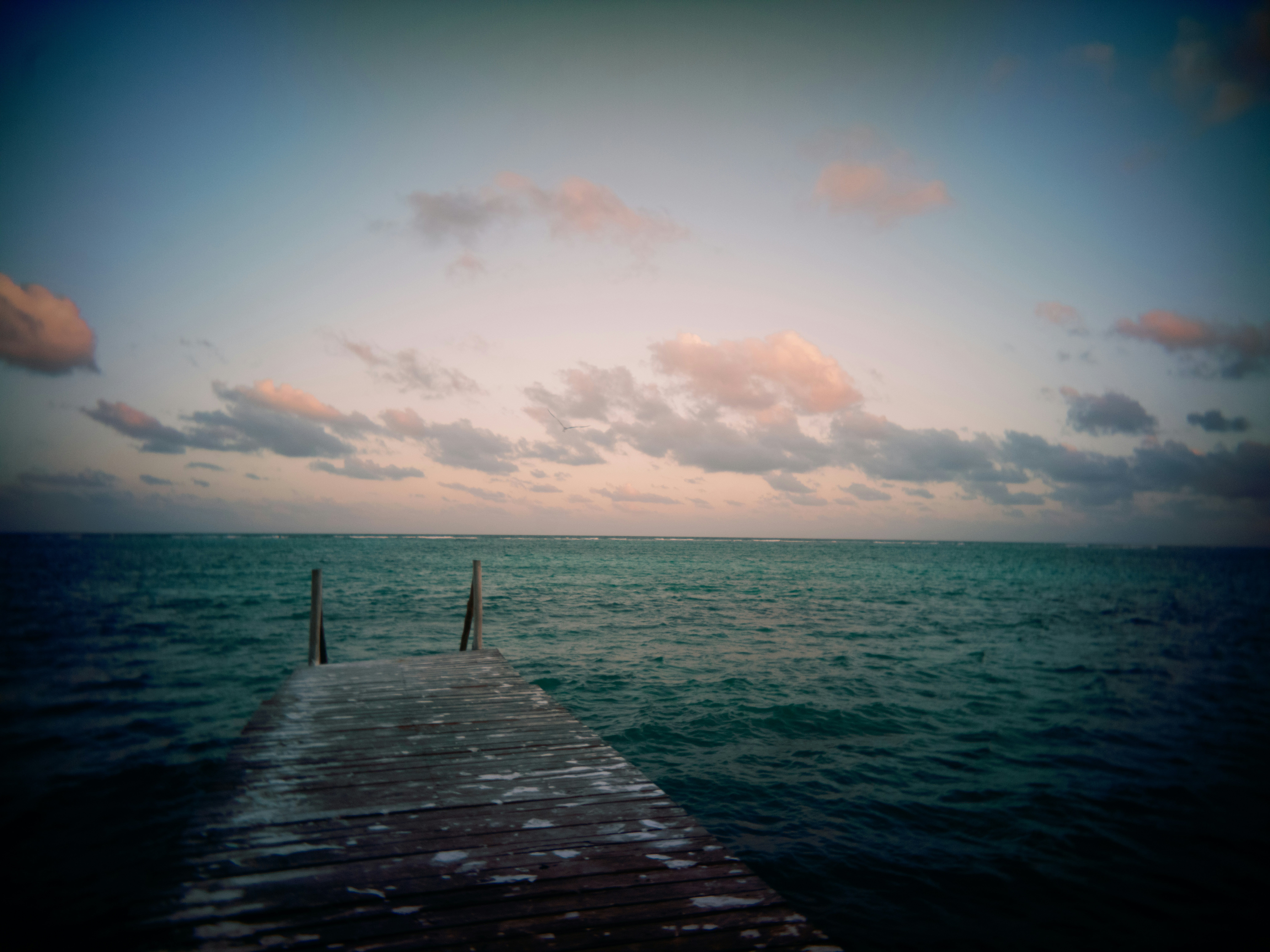 Photo by karl333