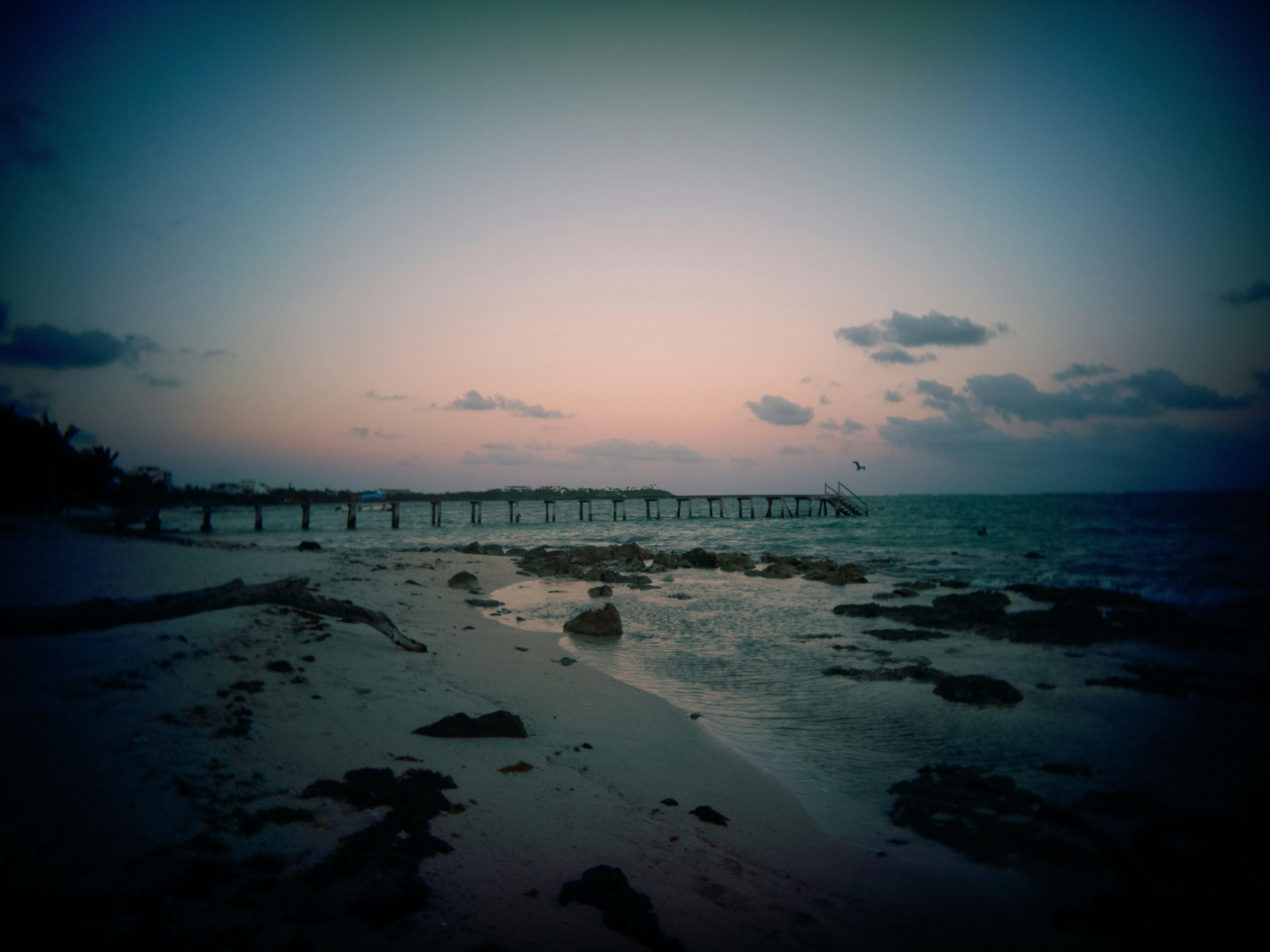 Photo by karl333