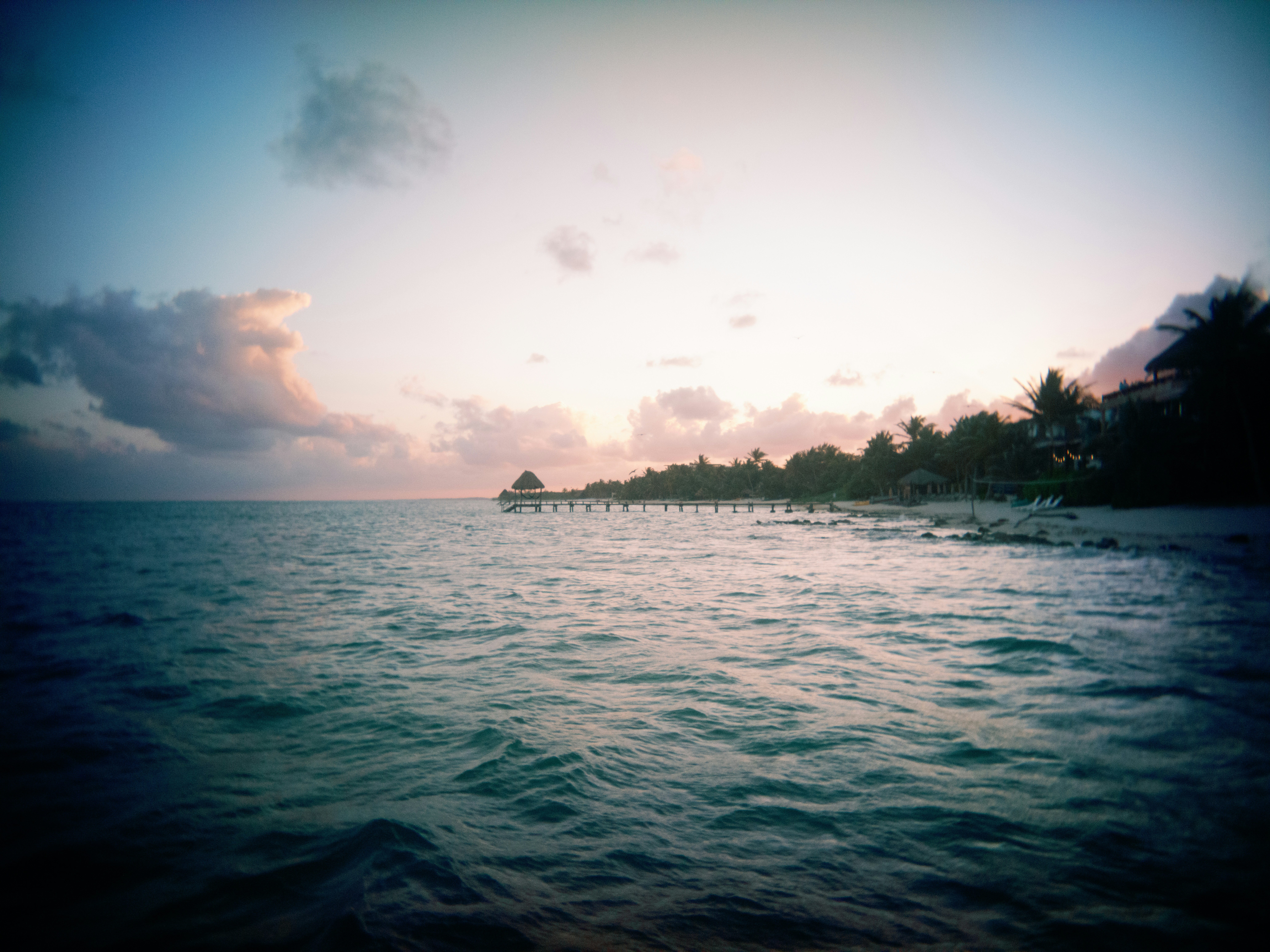 Photo by karl333