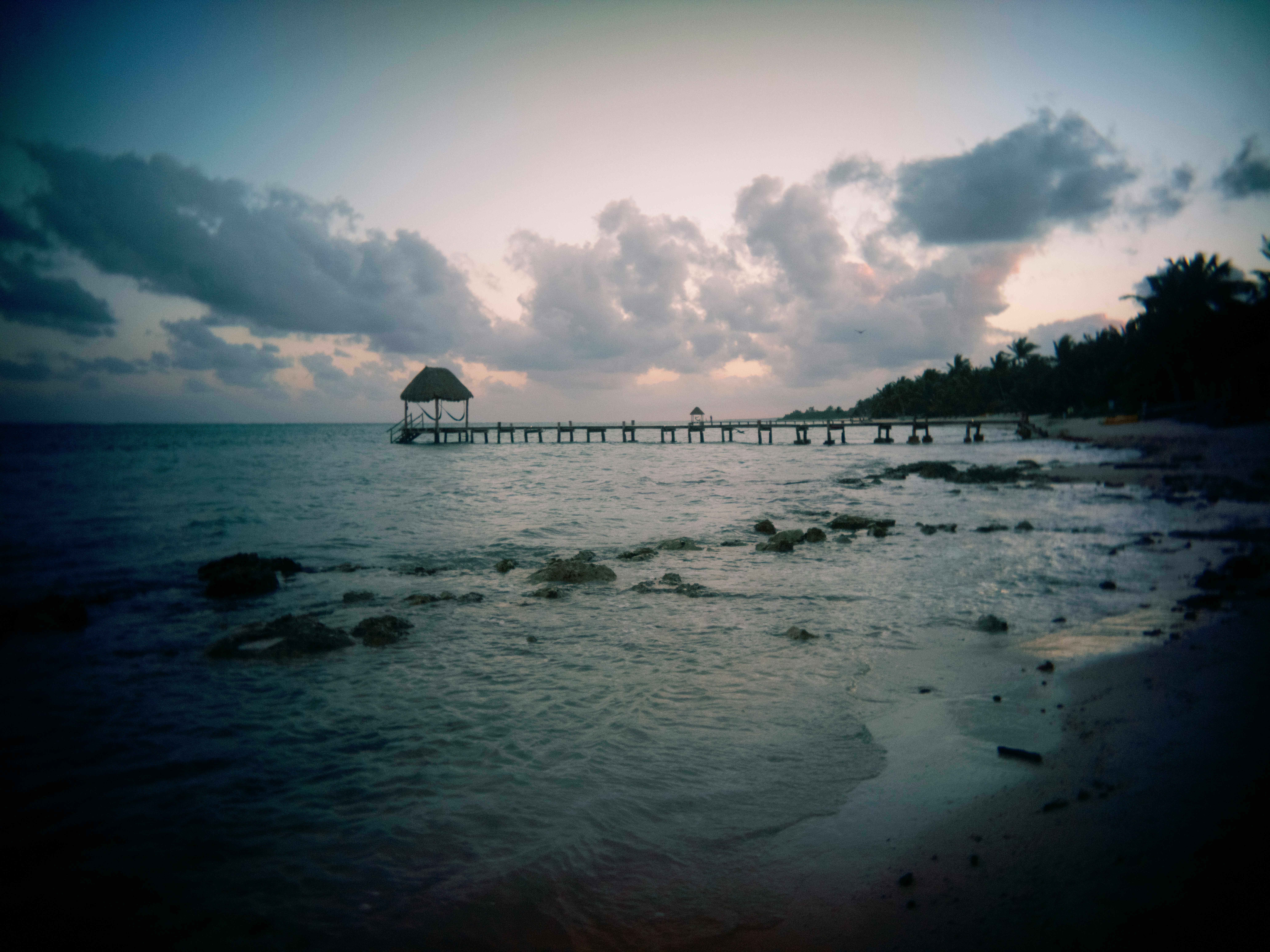 Photo by karl333