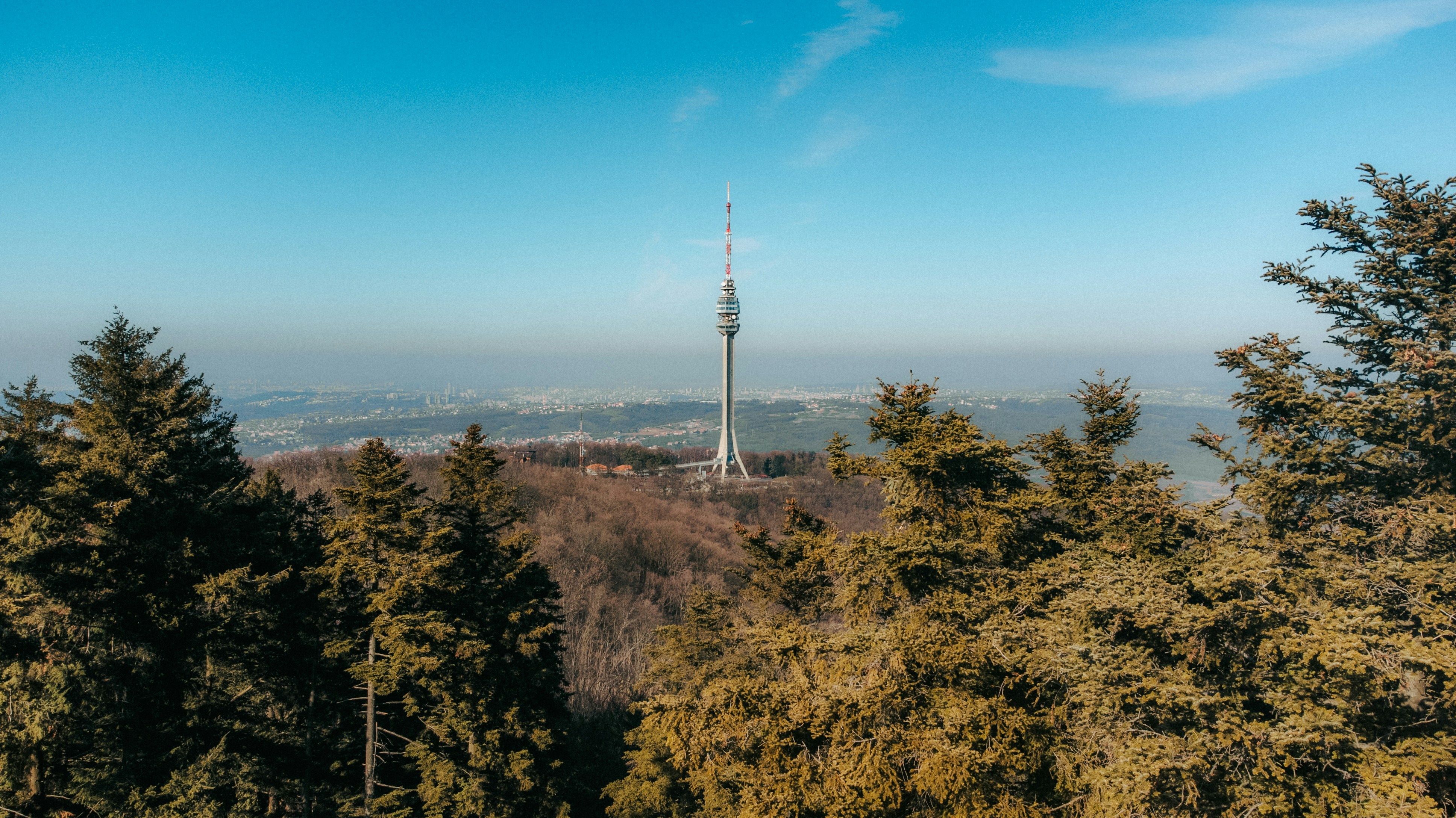 A view of trees and a tower in the distance