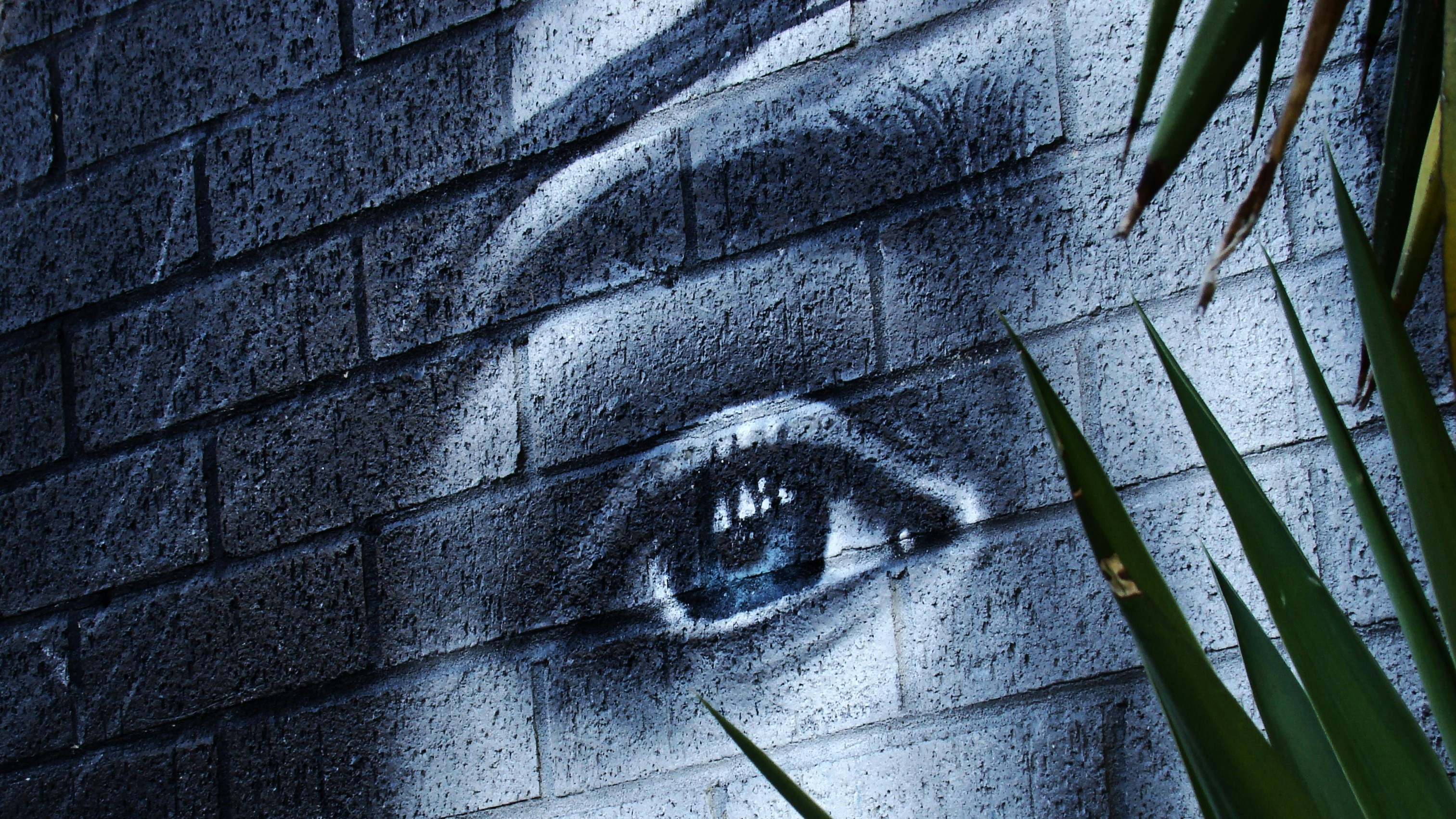 Photo by photoken123