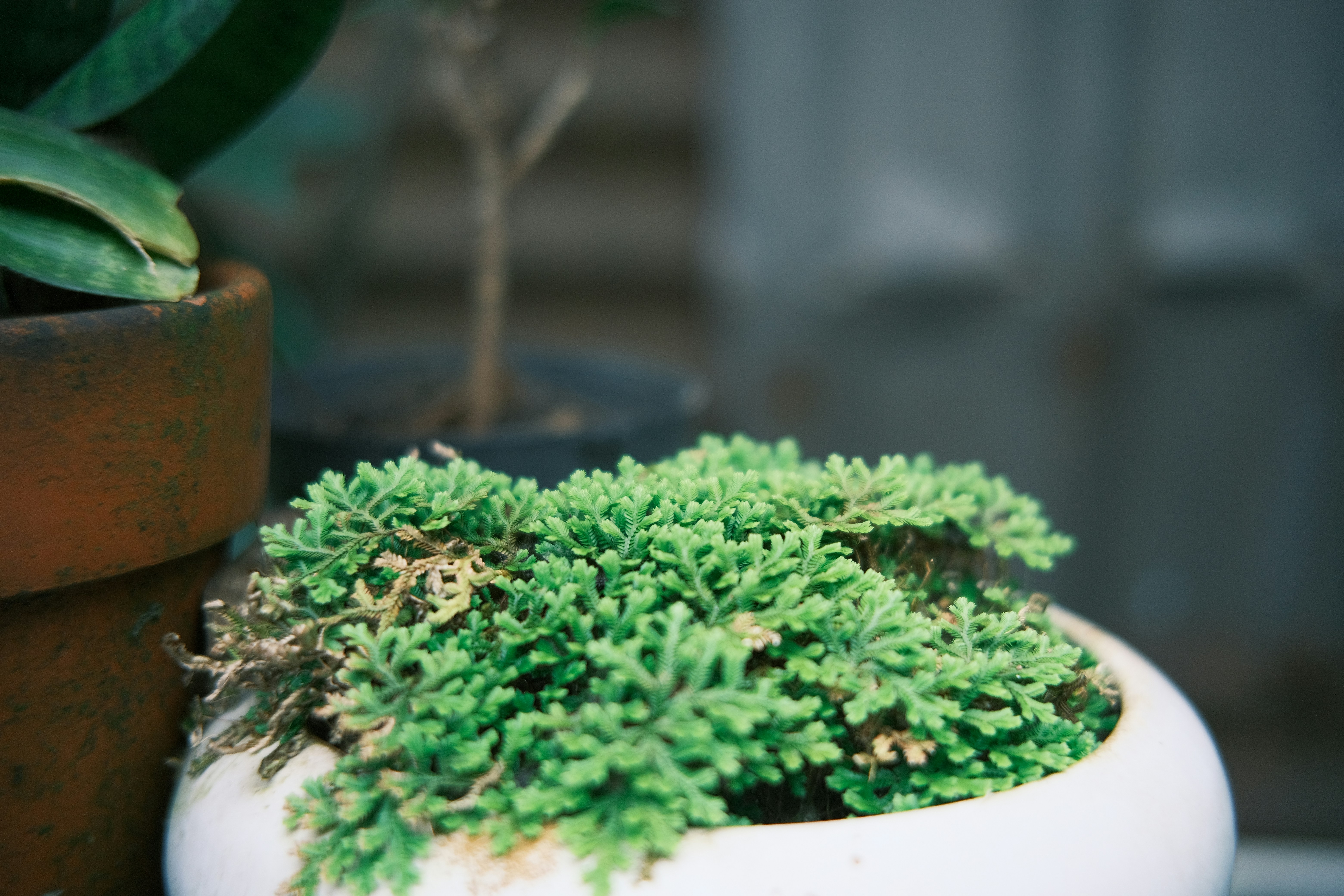 Photo by dvhoang2106