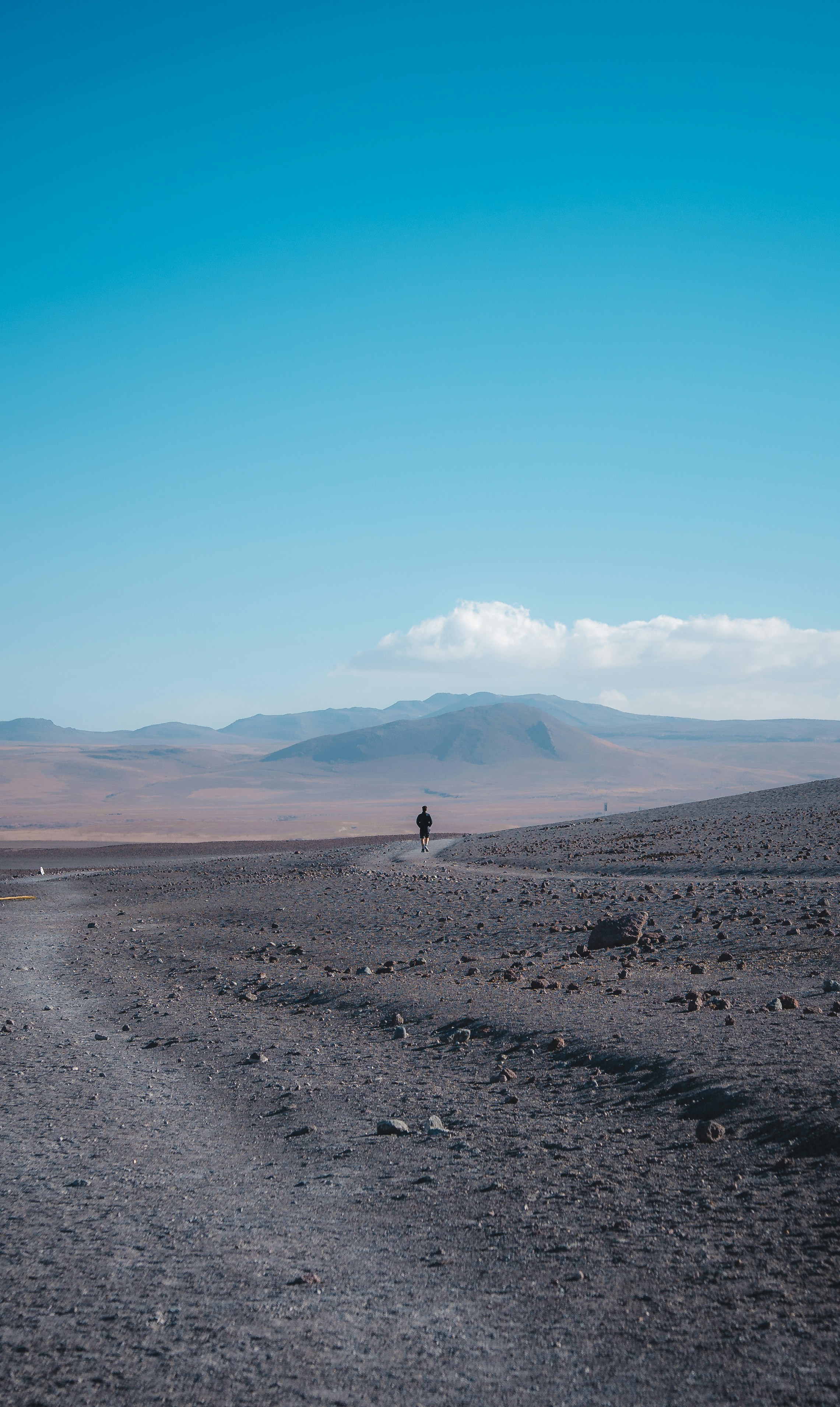 Photo by willianjusten