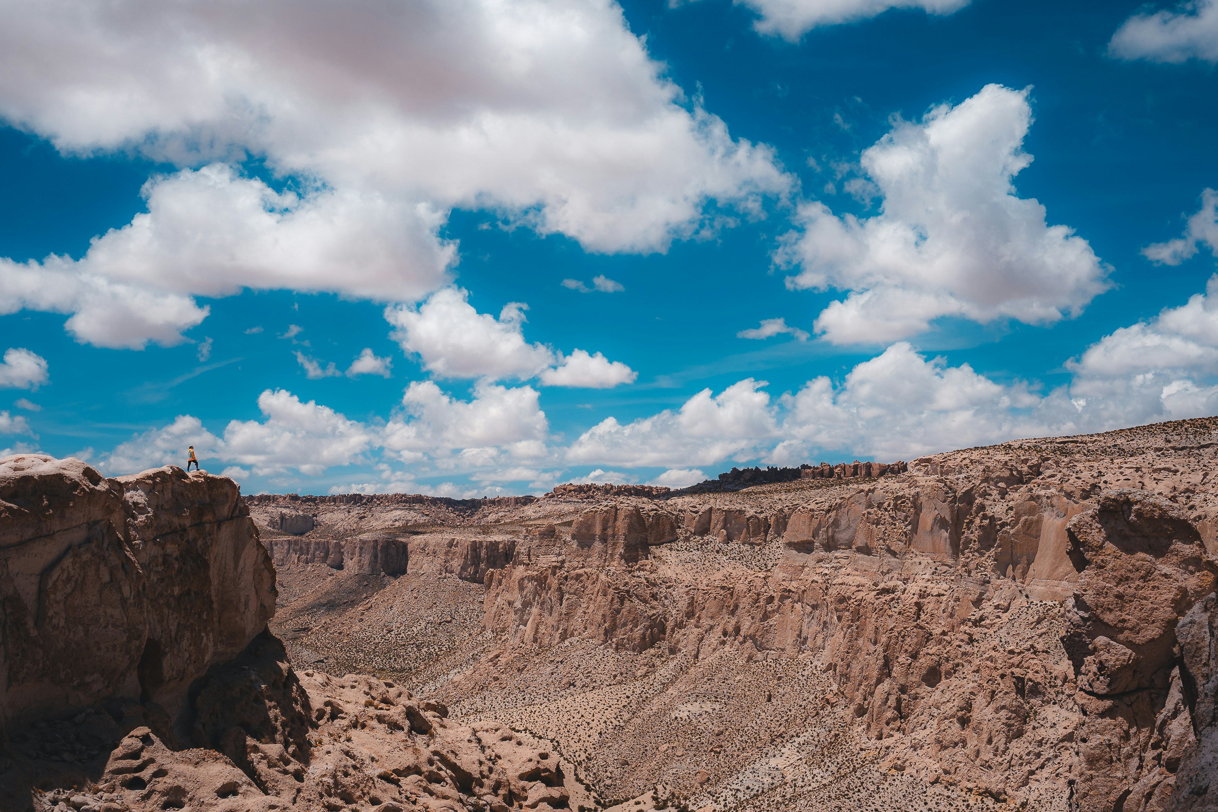 Photo by willianjusten