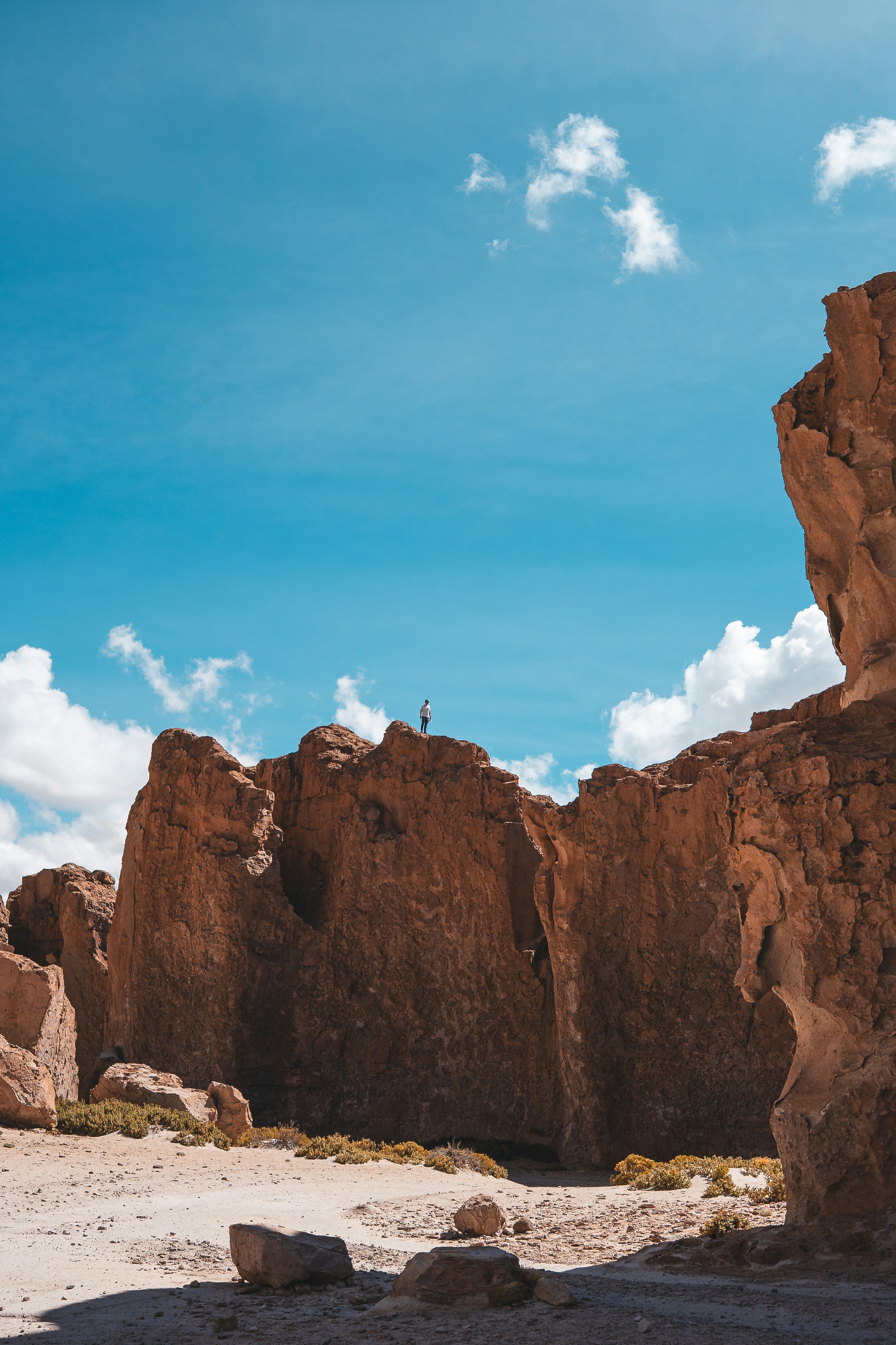 Photo by willianjusten