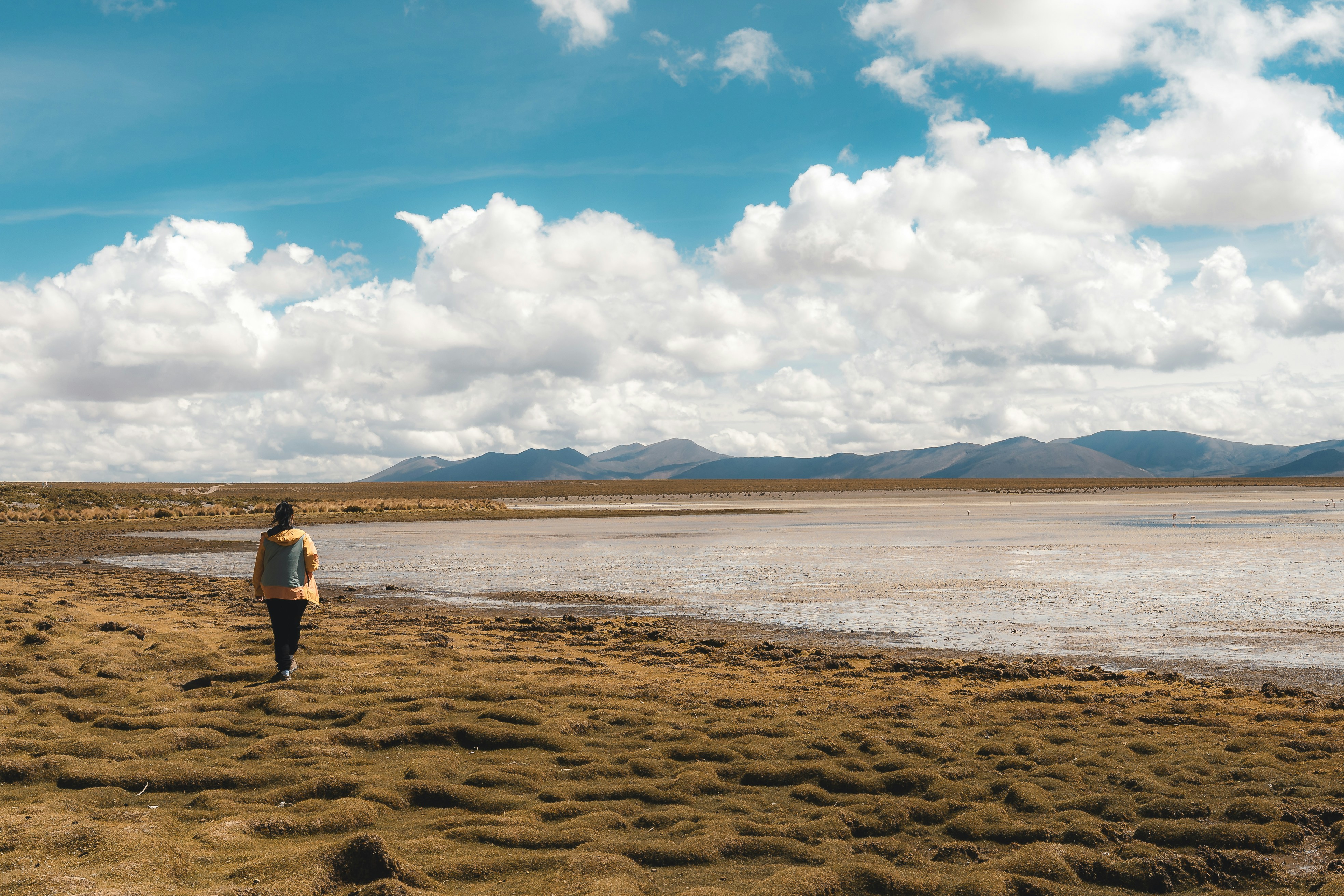 Photo by willianjusten