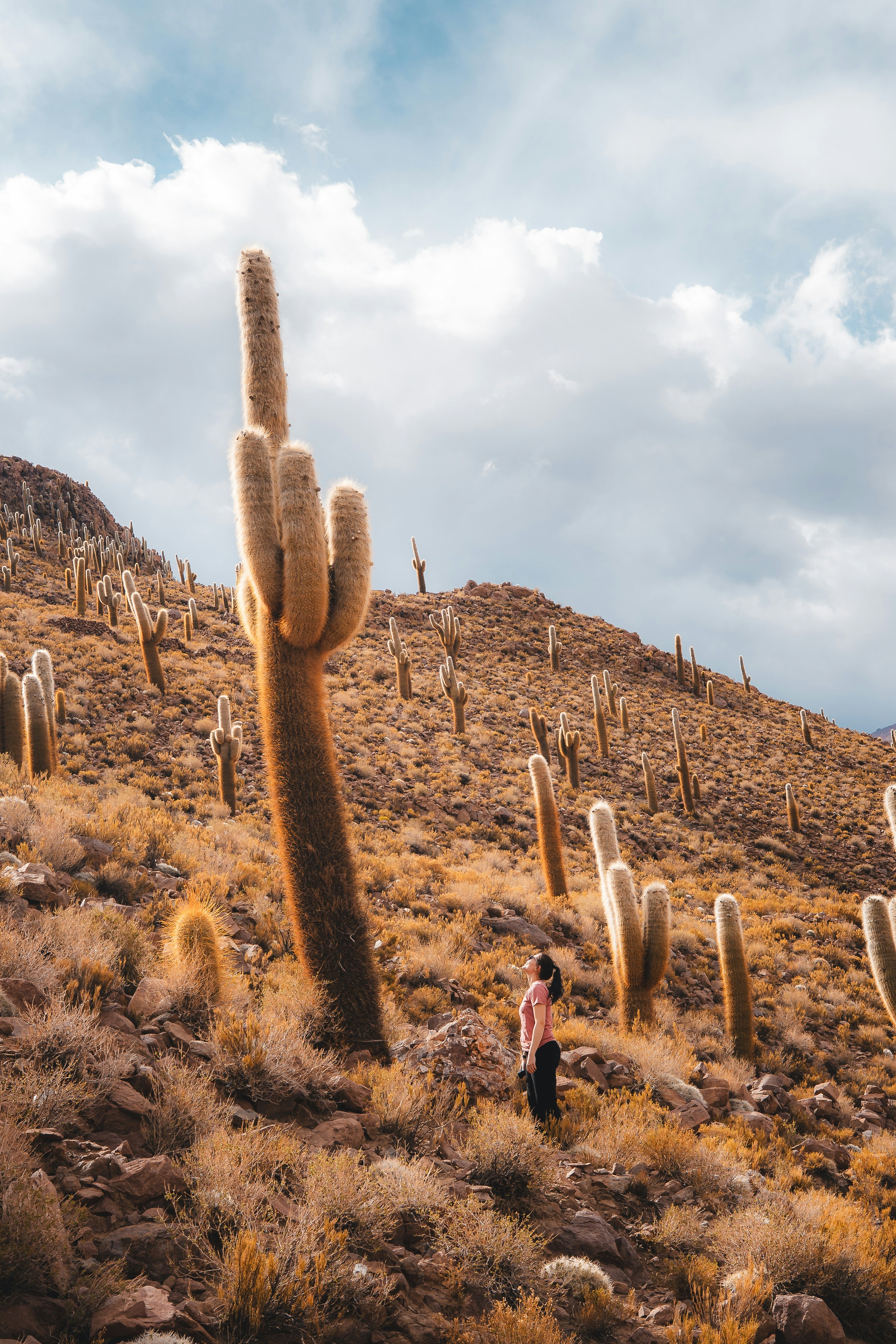 Photo by willianjusten