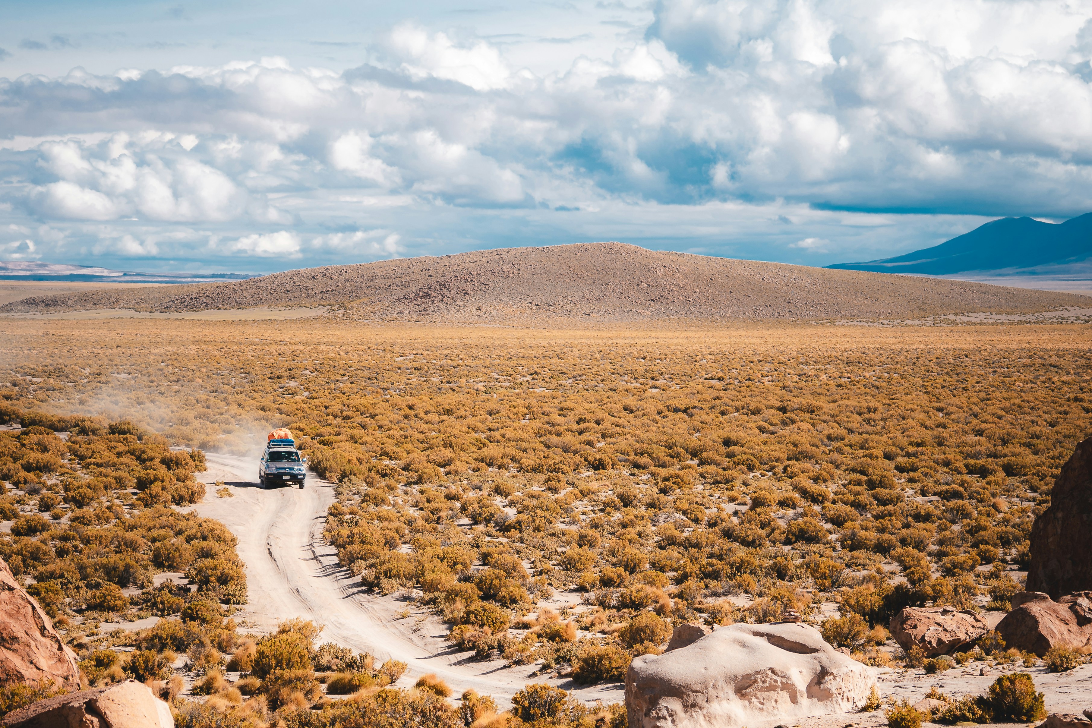 Photo by willianjusten