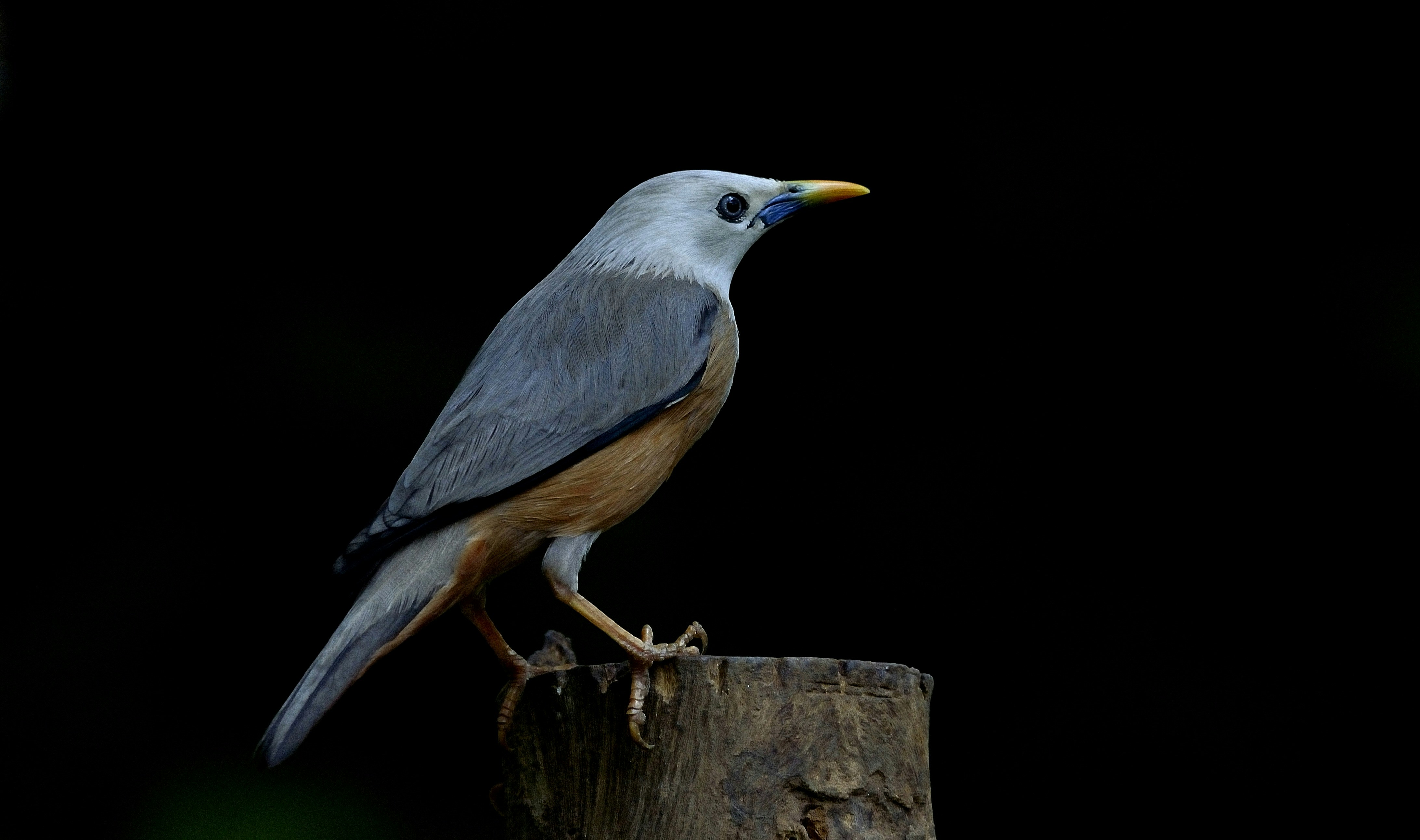 Photo by manishkavediya