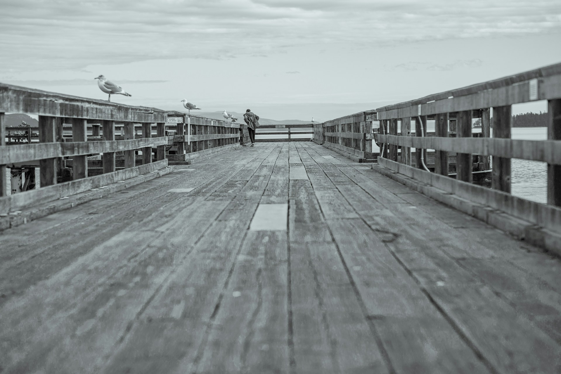 A black and white photo of a wooden boardwalk