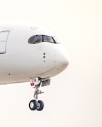 A large jetliner flying through a white sky