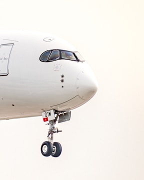 A large jetliner flying through a white sky