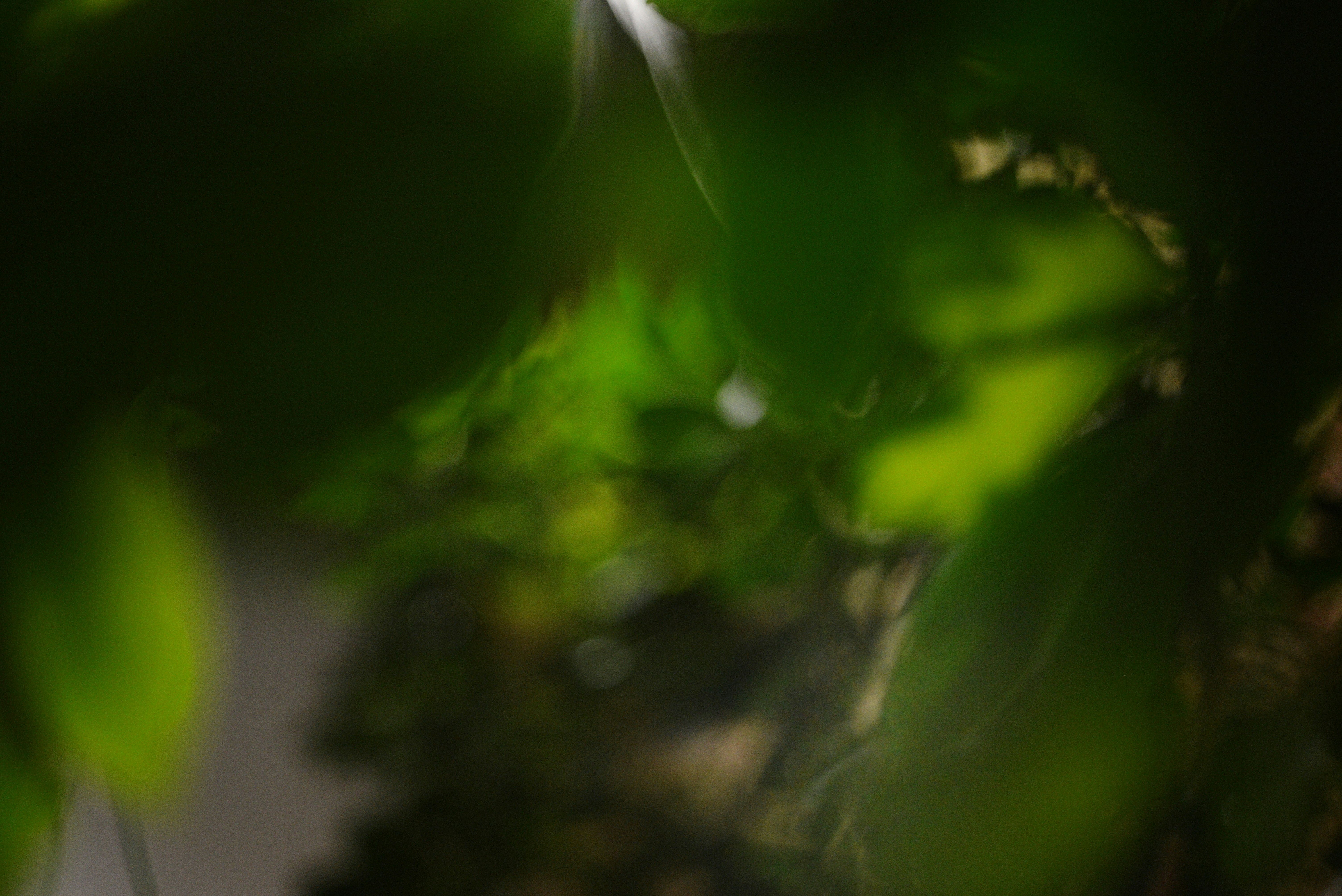 Photo by cherstve_pechivo