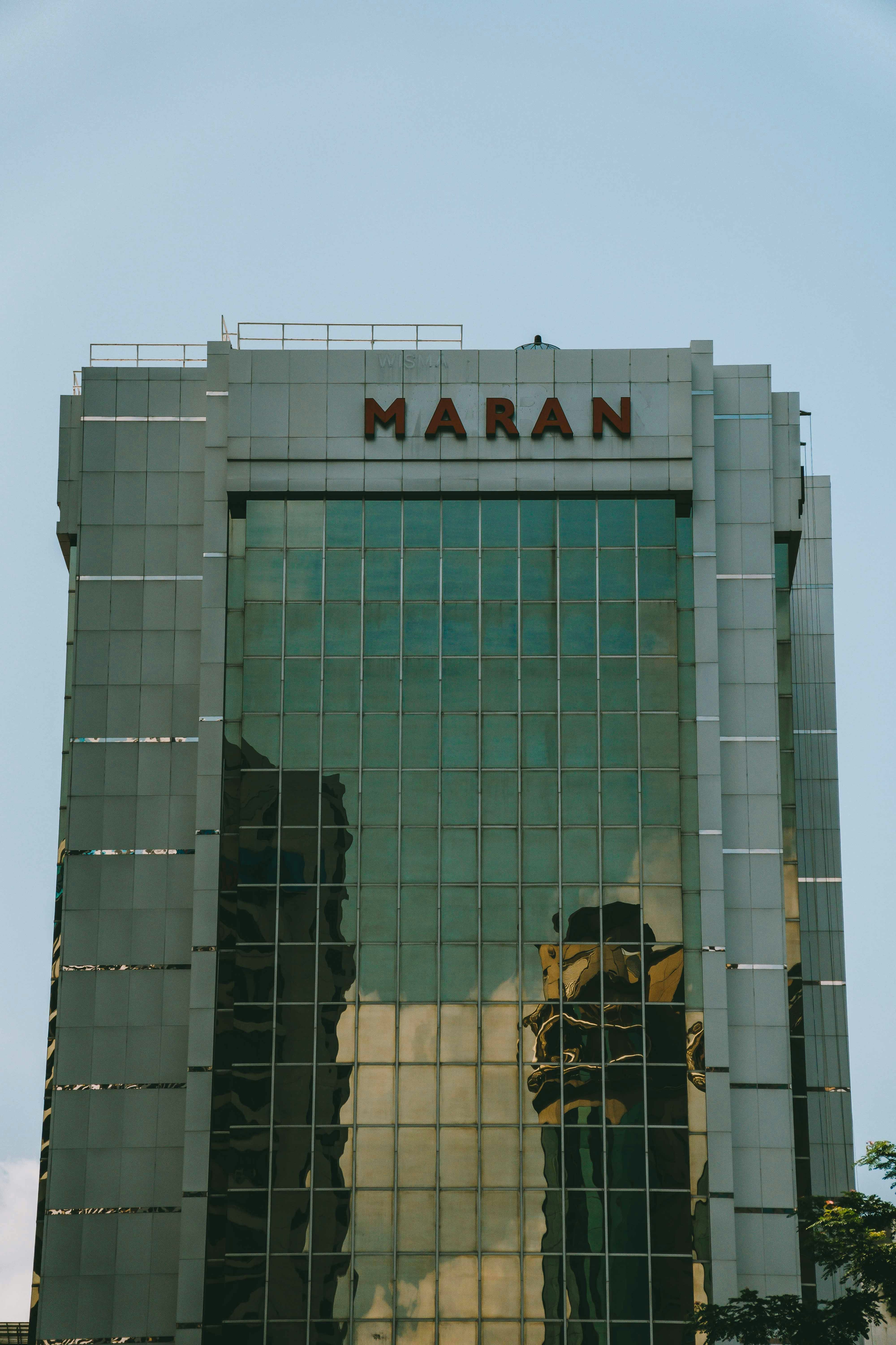 A large building with a reflection of a tiger on it