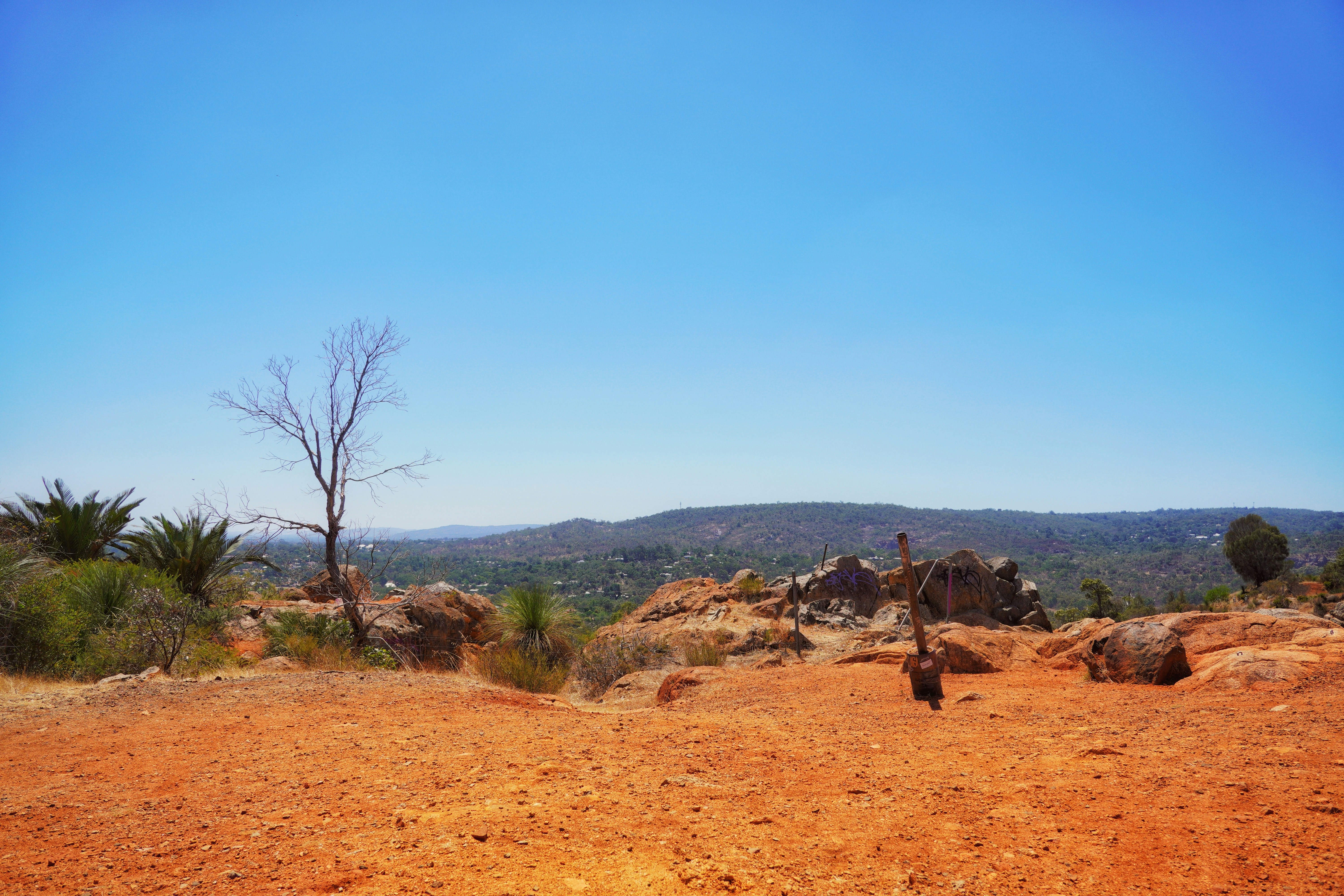 A dirt field with a lone tree in the distance