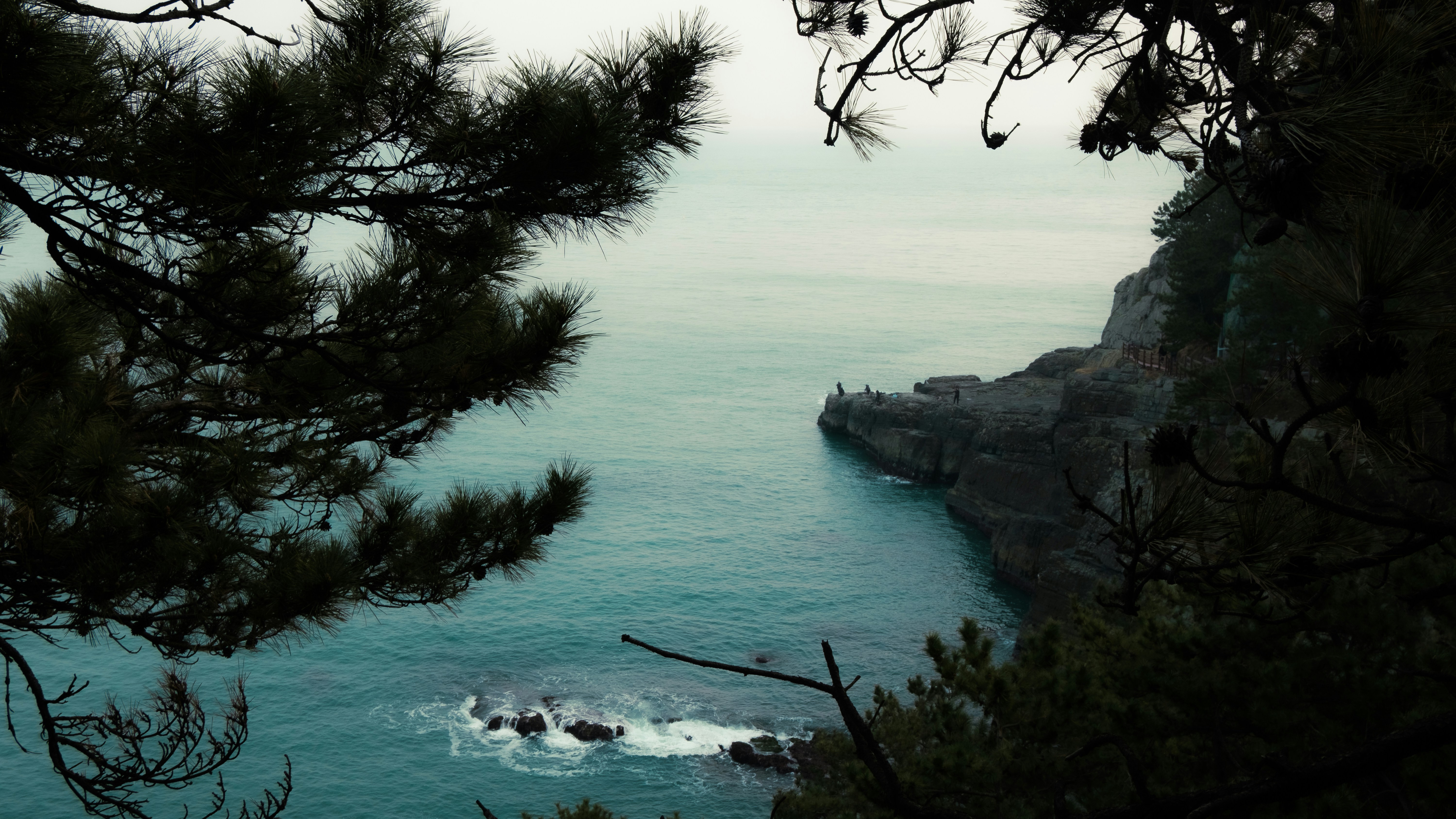 A view of a body of water through some trees