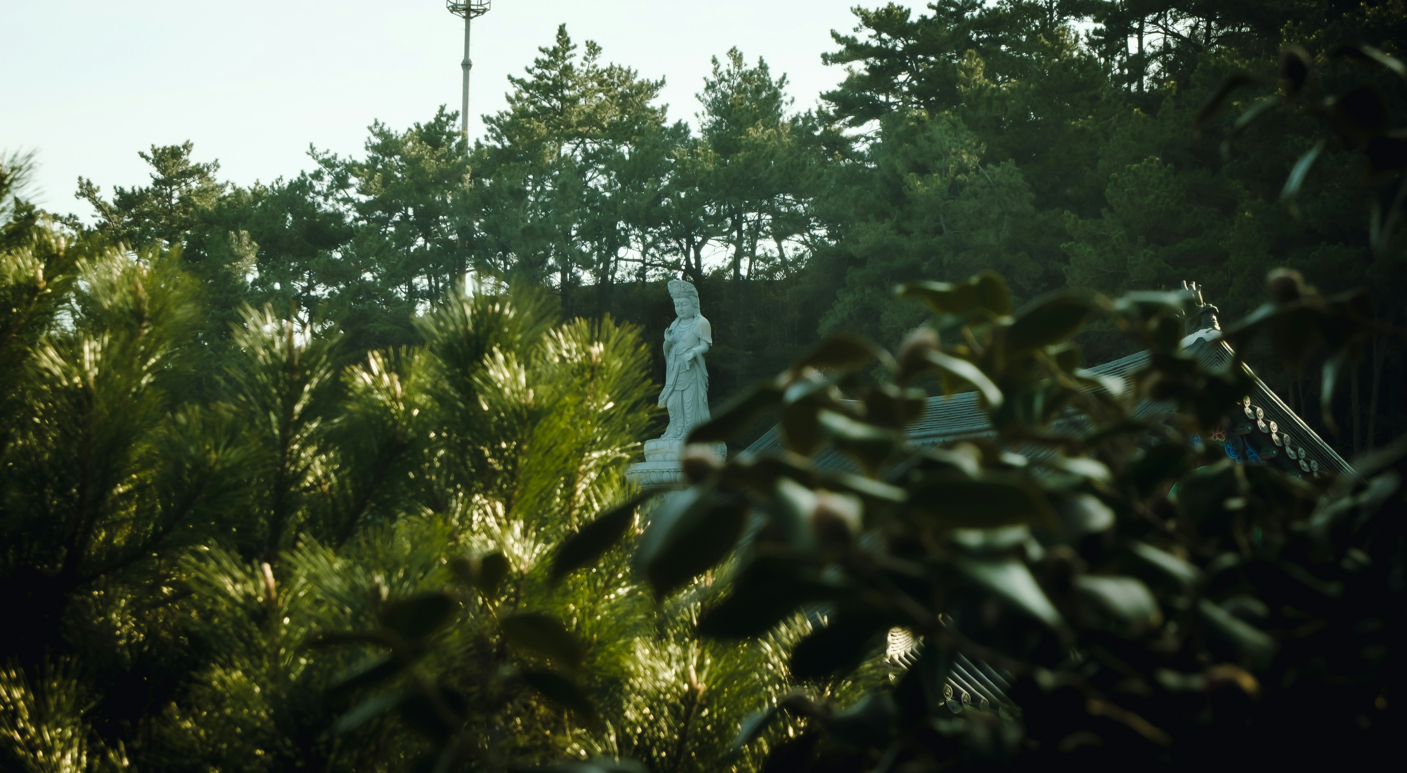 A person jumping in the air with a frisbee