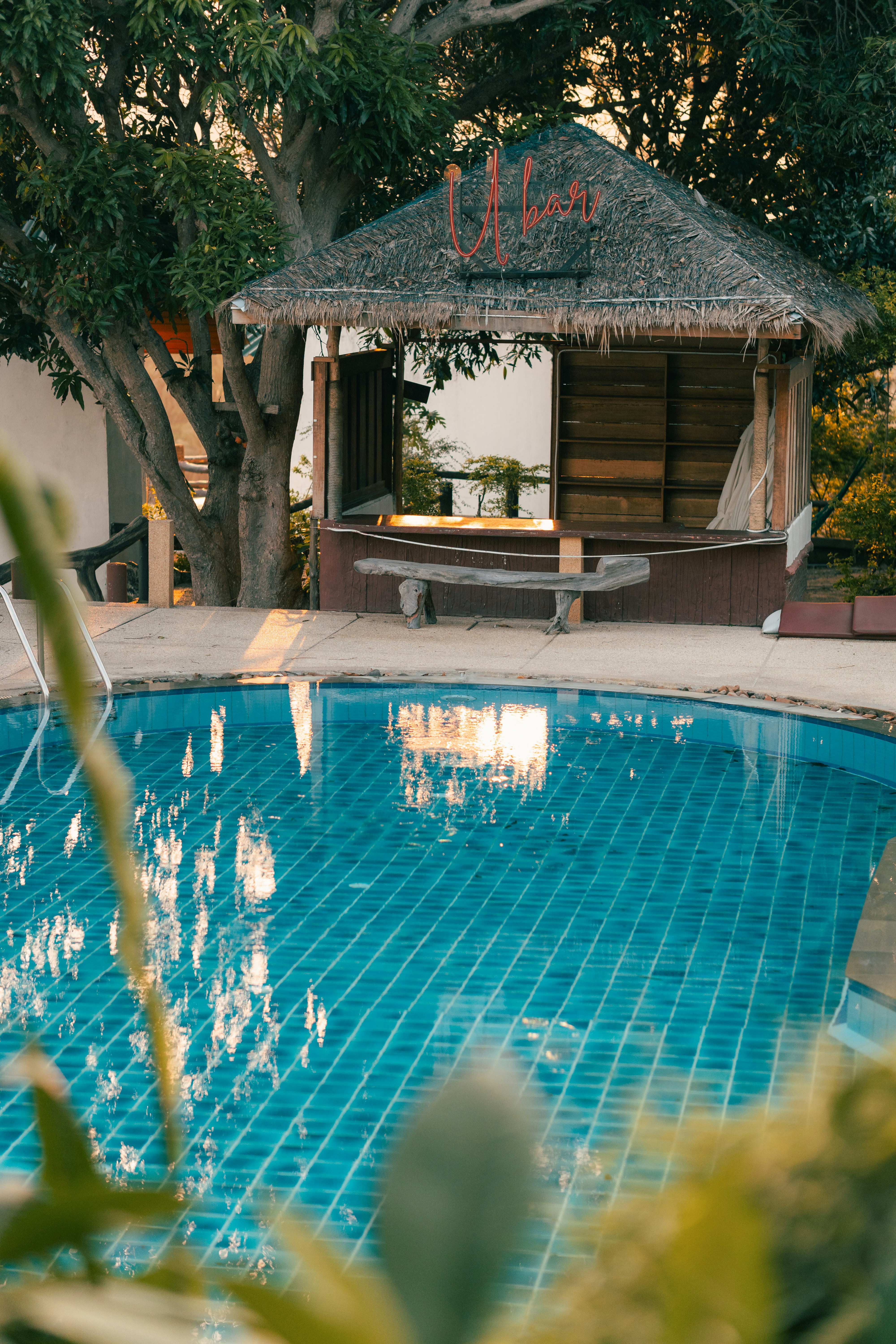 Photo by pauliusidea