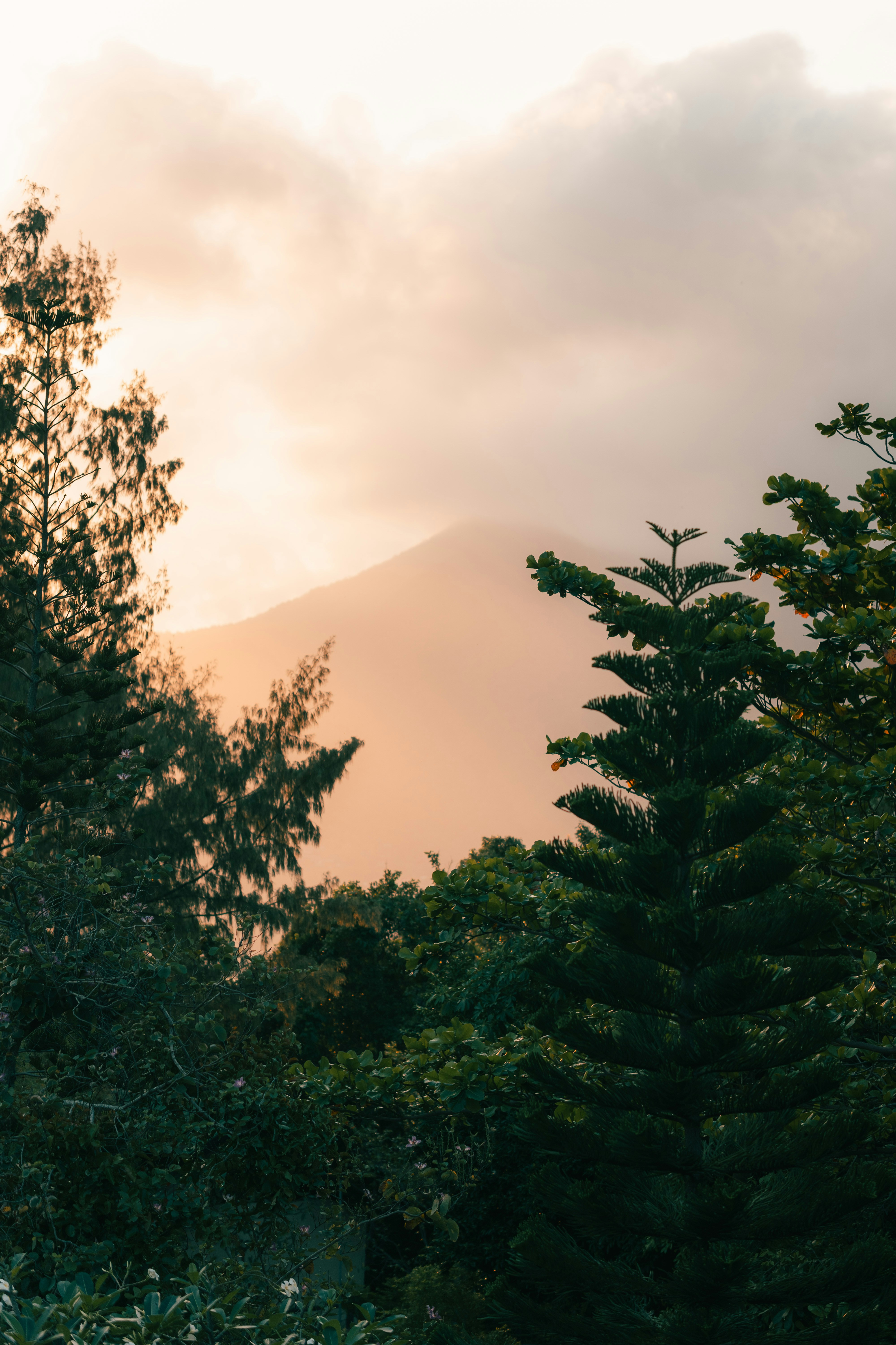 Photo by pauliusidea