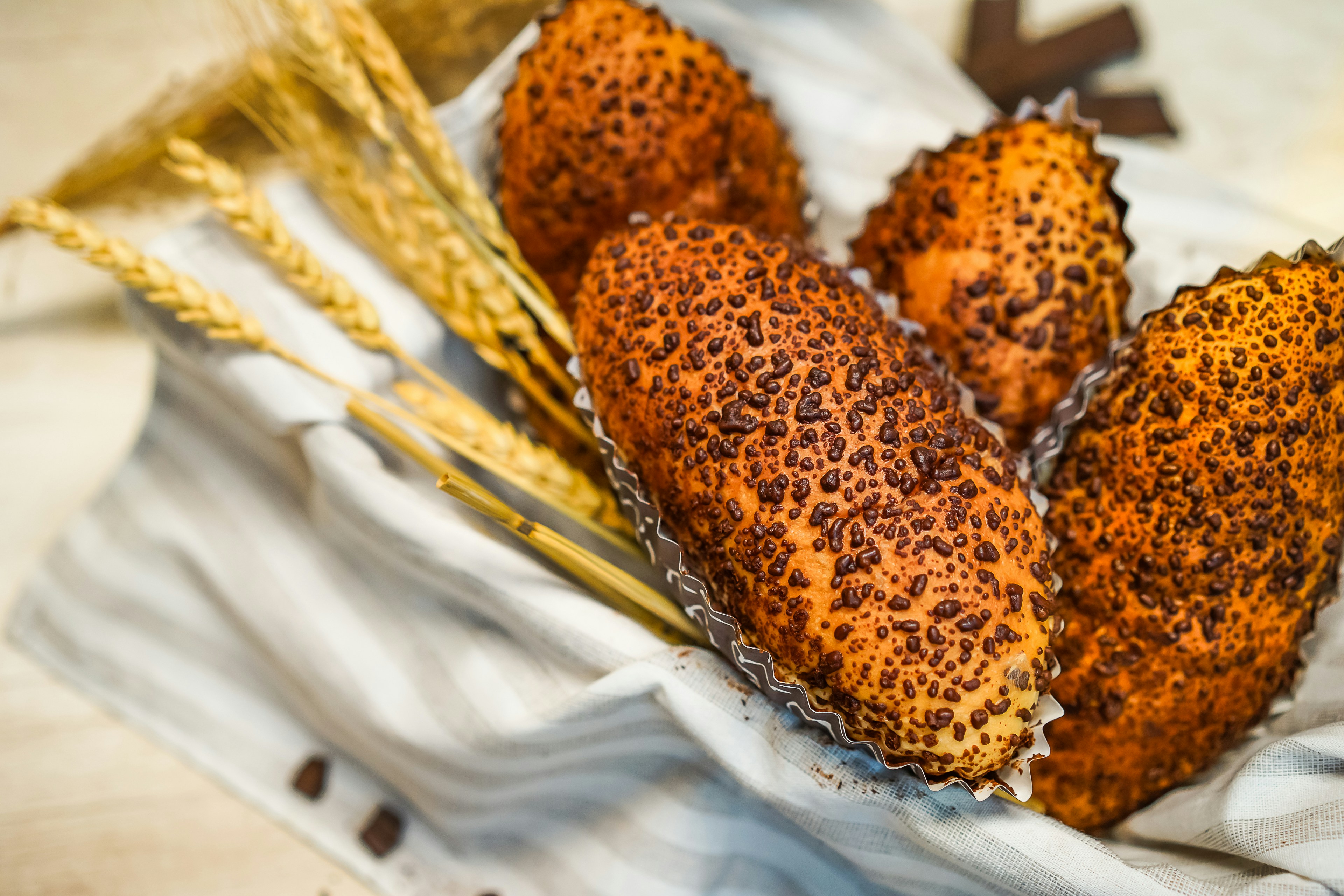 Photo by gosoundmitch