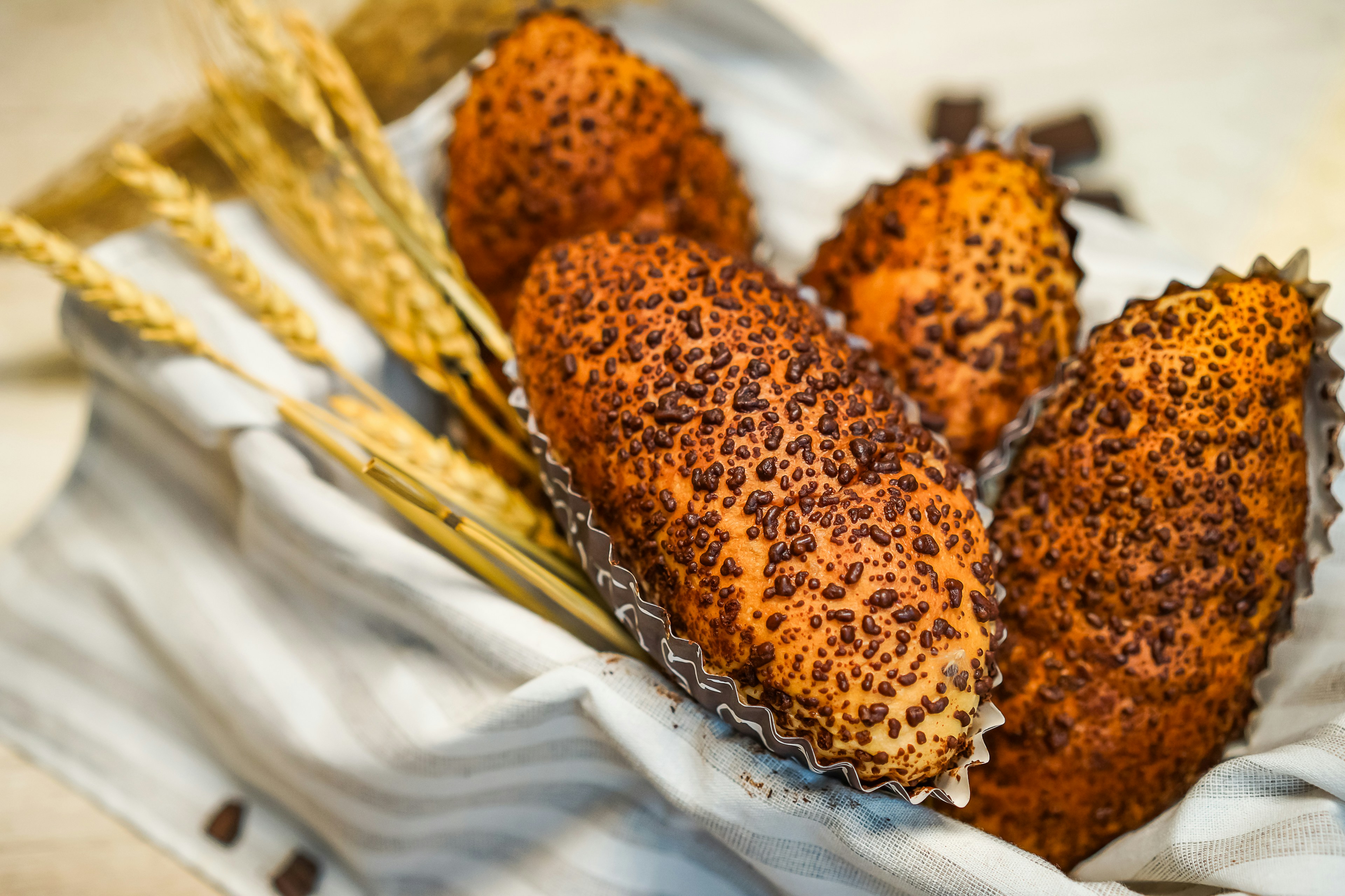 Photo by gosoundmitch