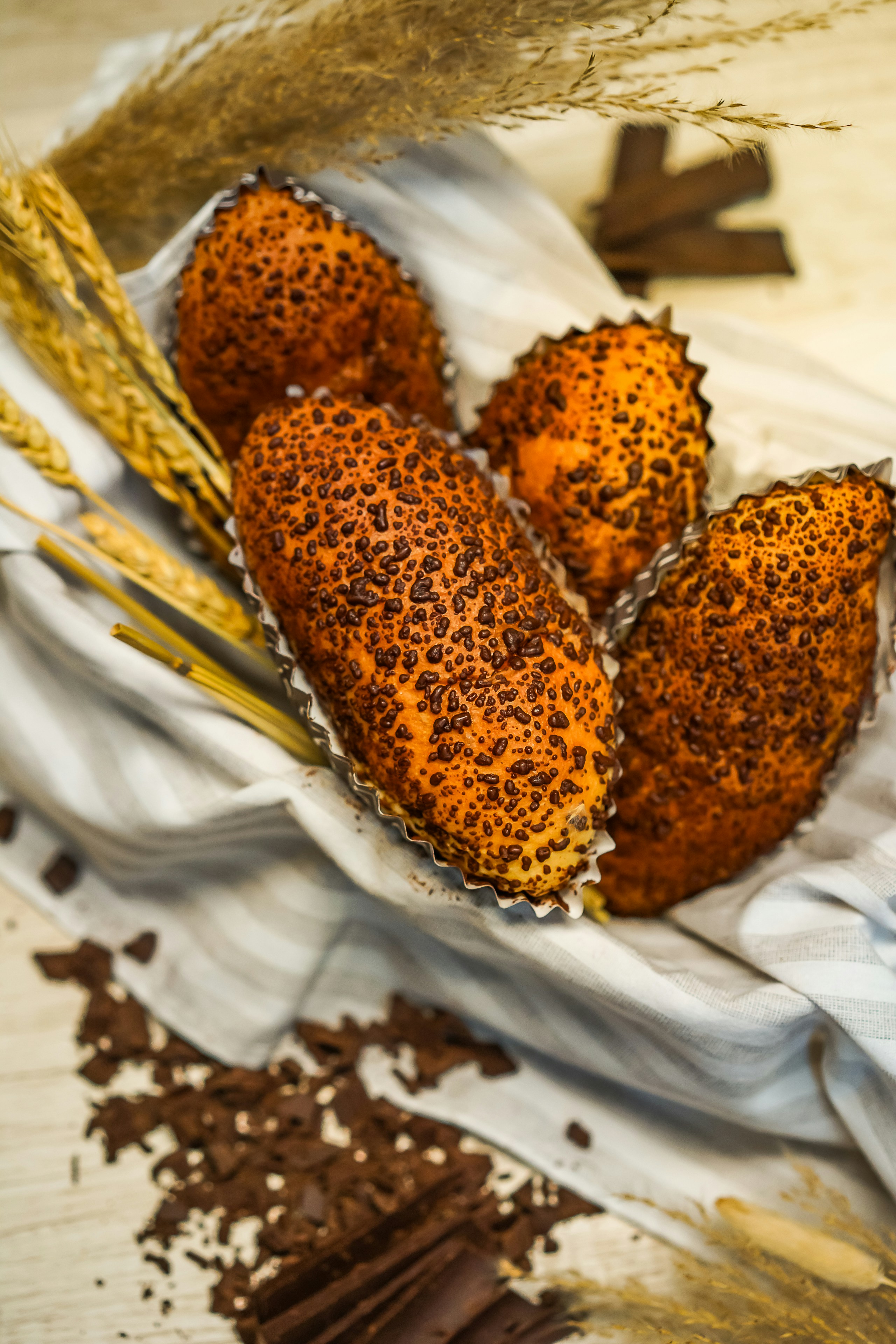 “달콤한 유혹 뒤 숨겨진 함정, 코인 투자 전에 반드시 알아야 할 3가지 진실”