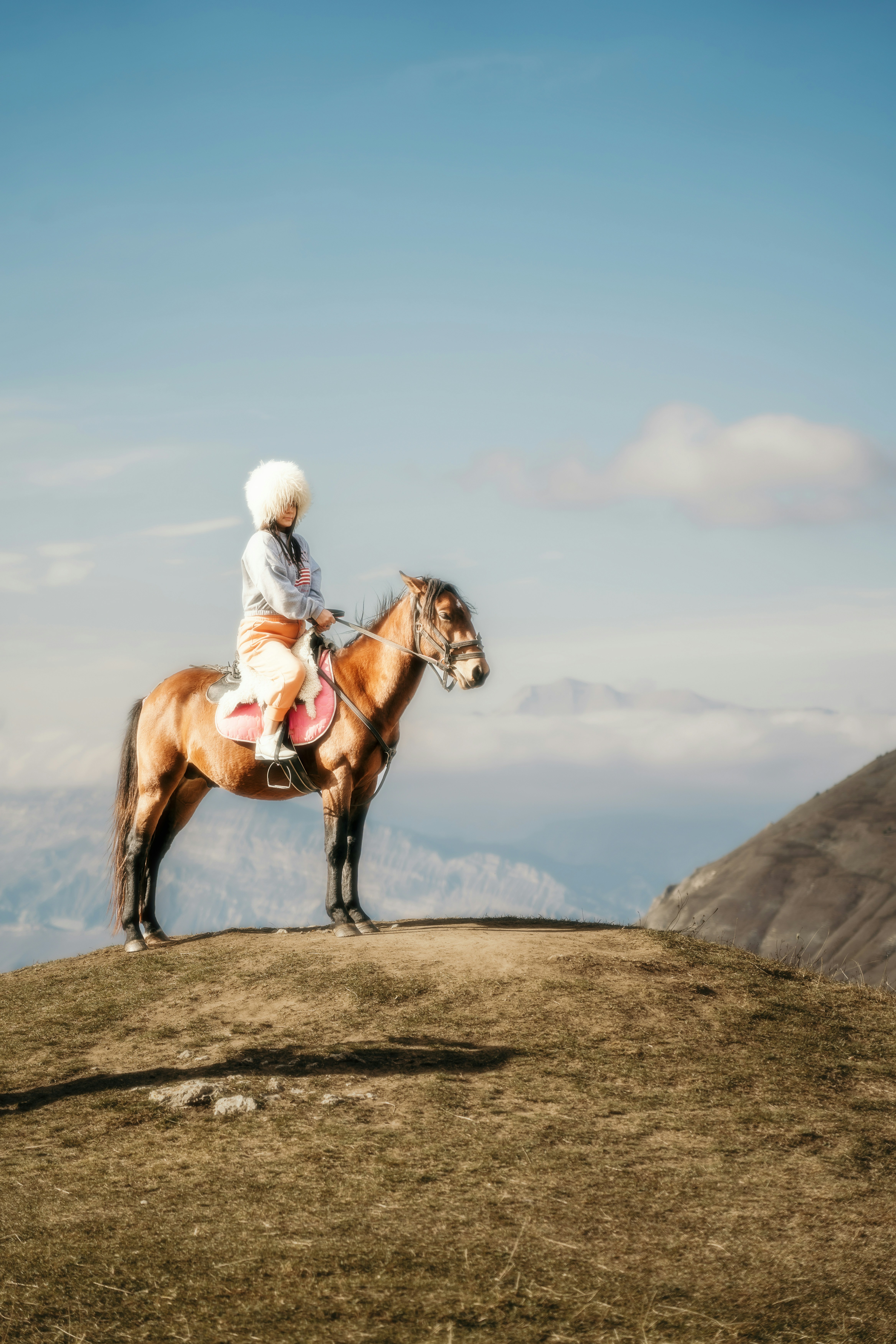 A person riding a horse on top of a hill