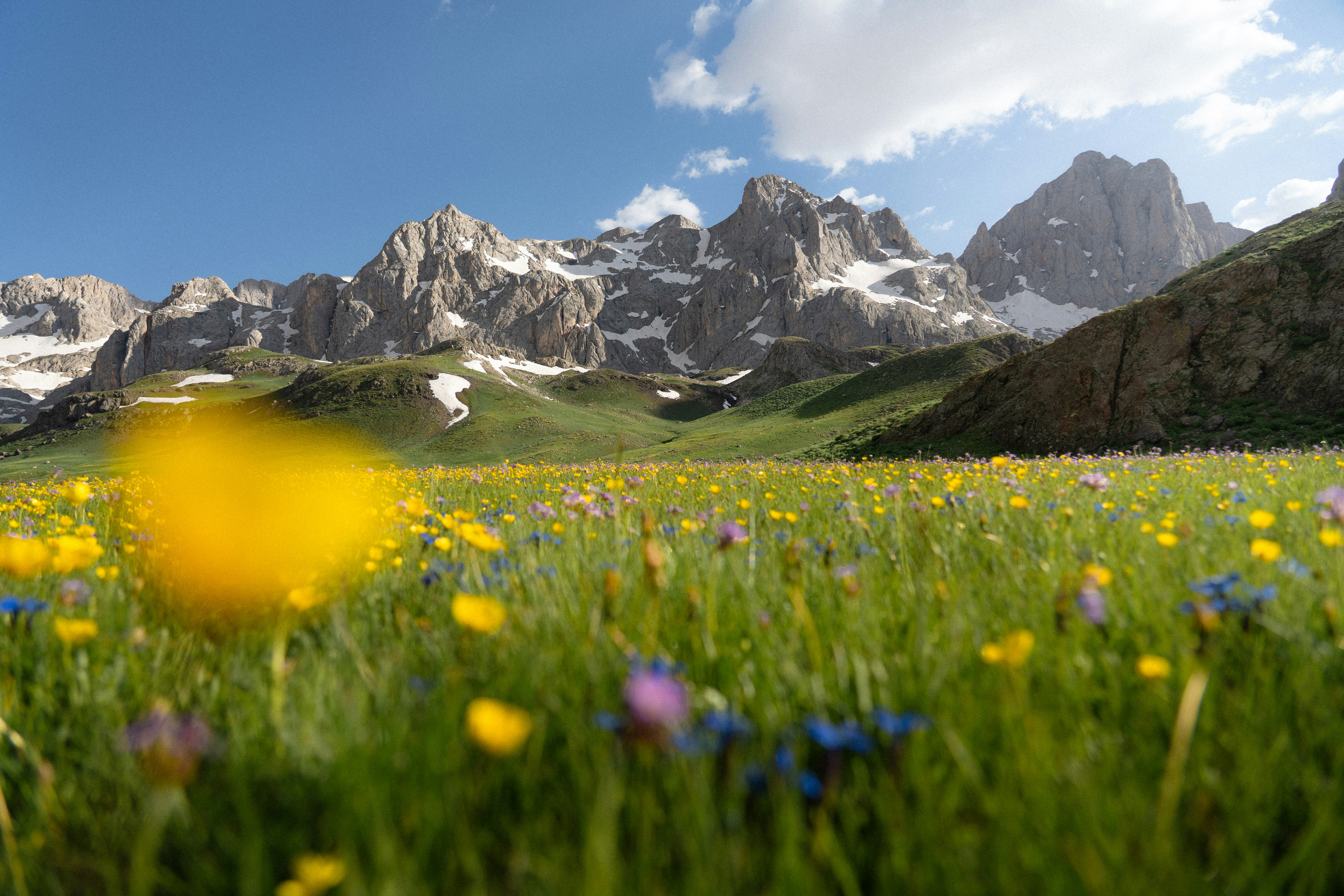 ERC destination photo