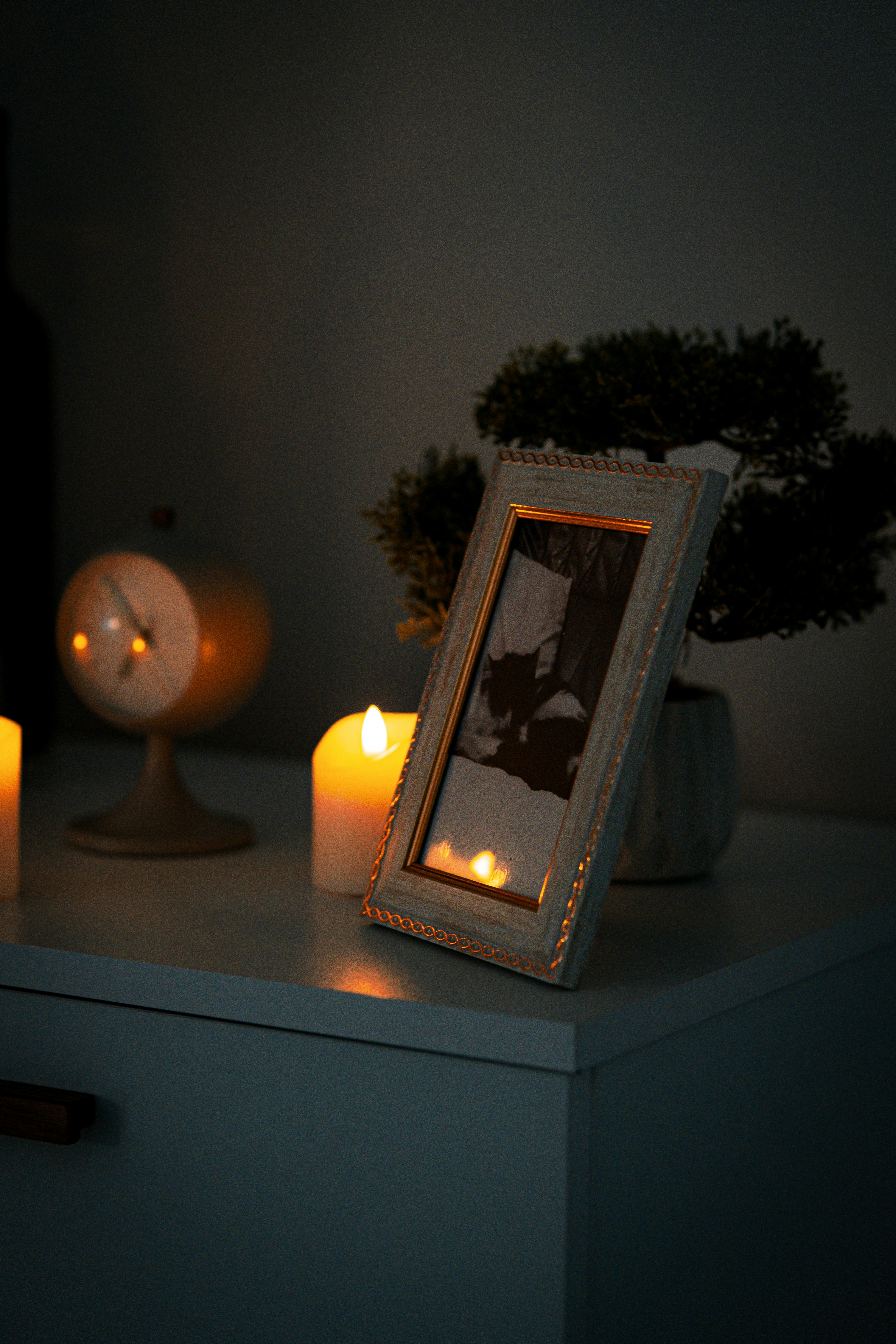 What to Do When Your Pet Passes at Home