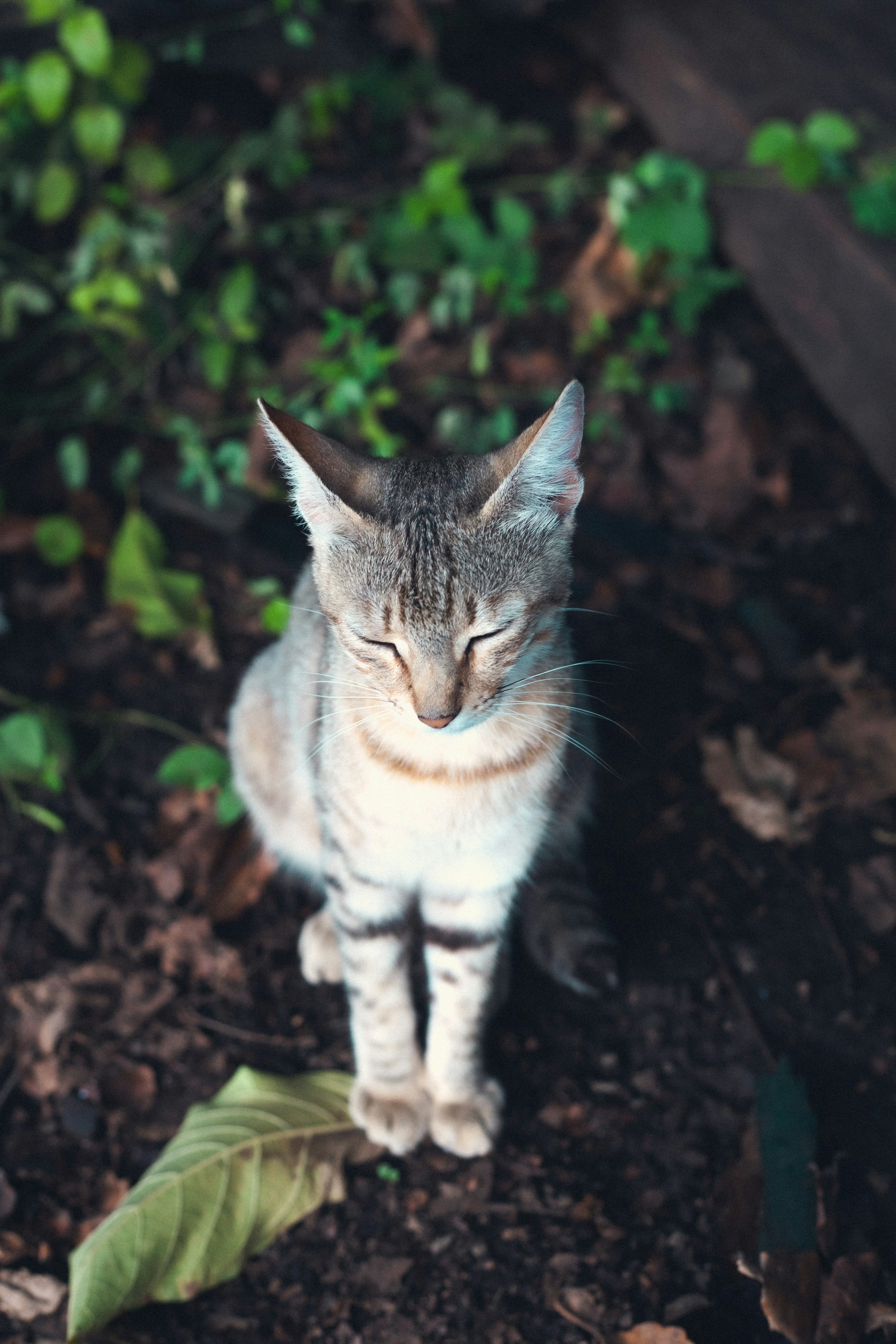 Photo by mu6a