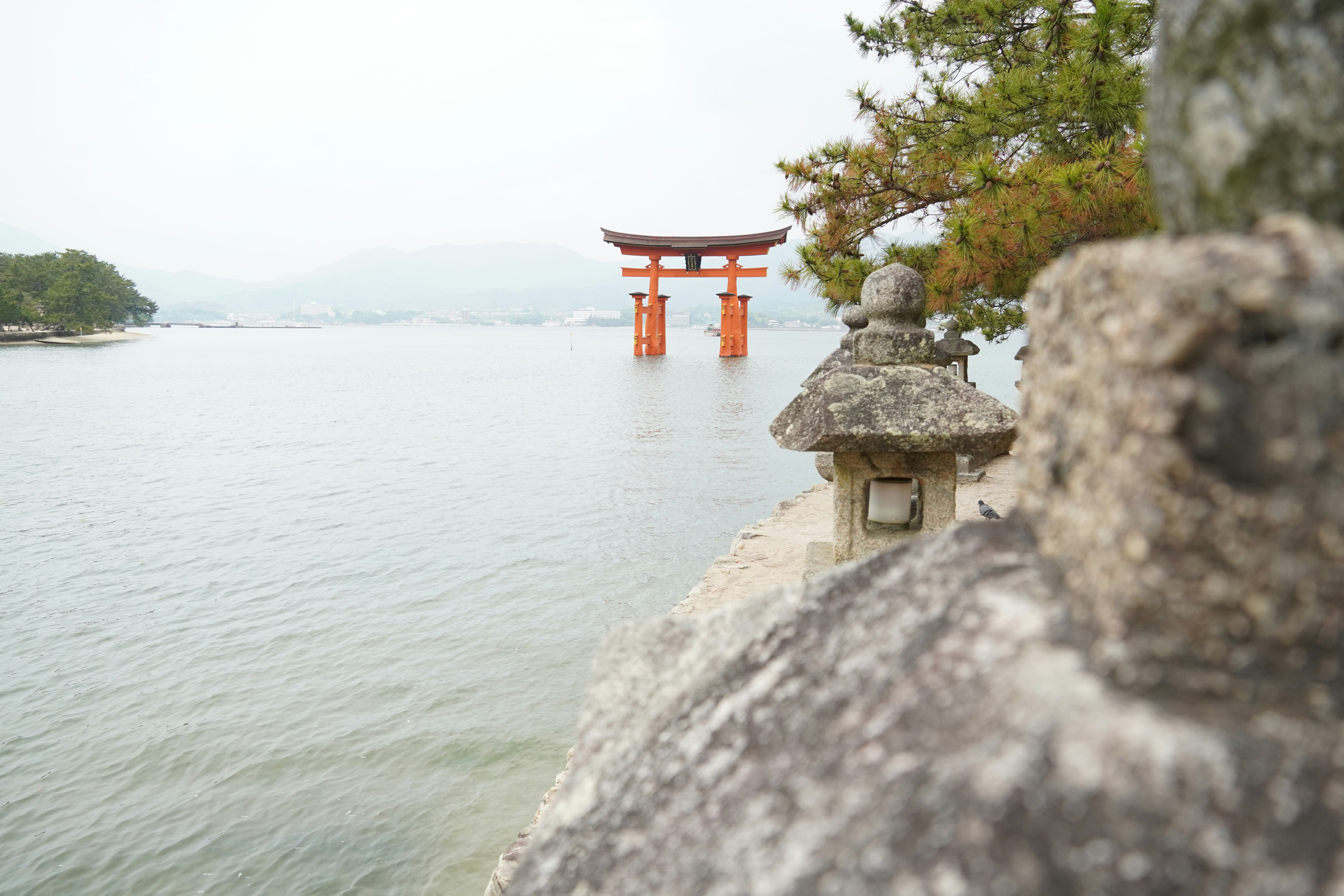 Photo by dsnphotography