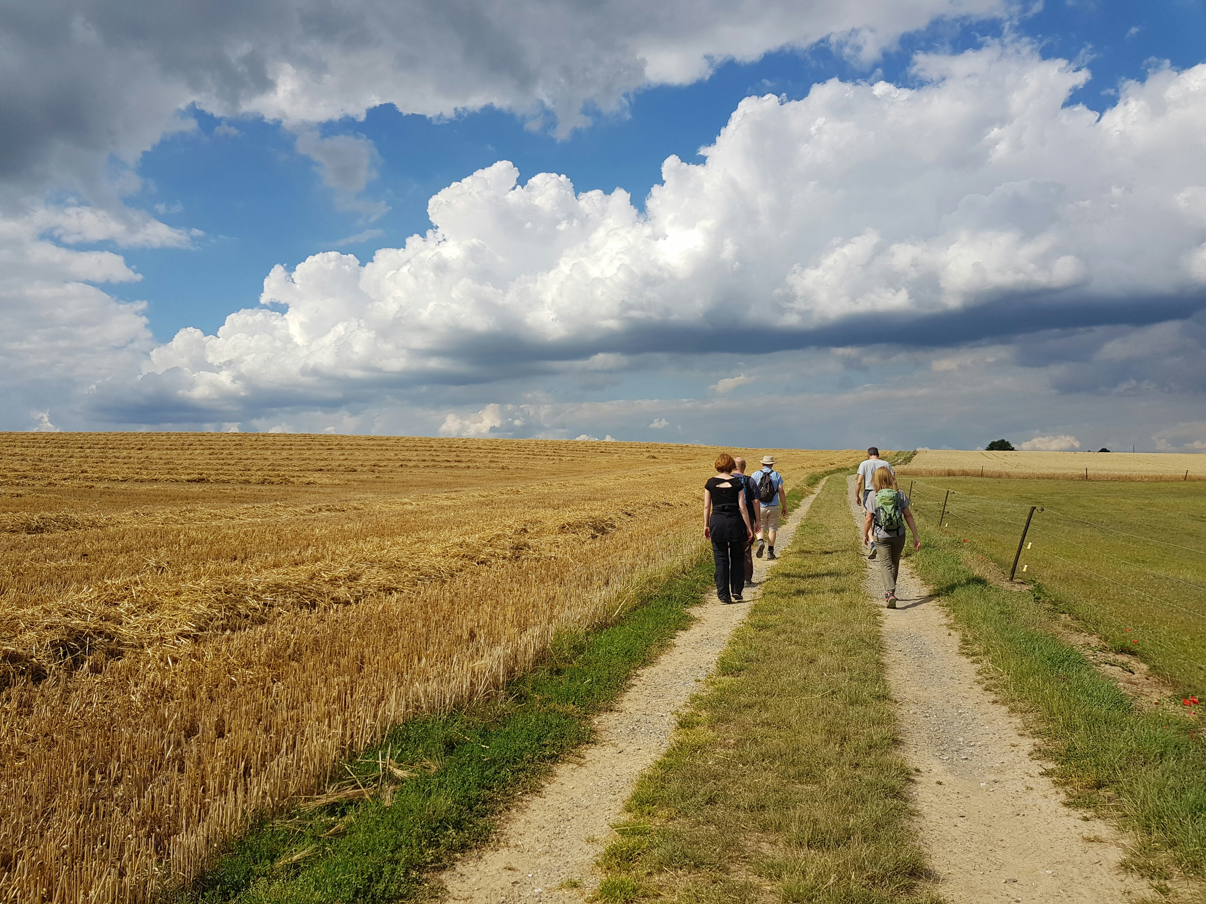 A group of people walking down a dirt road
