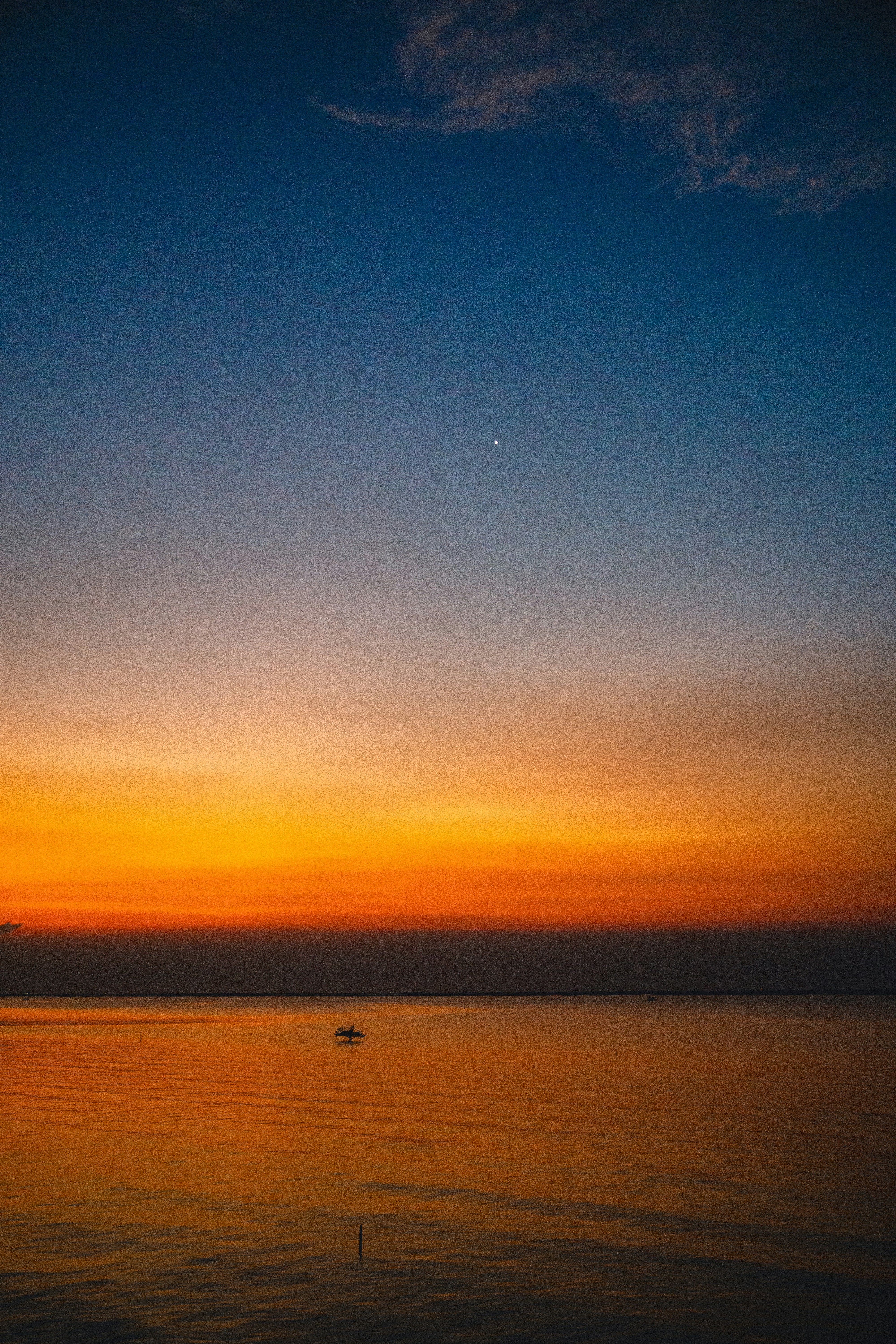 Photo by honney