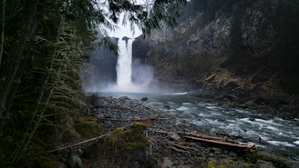 A large waterfall in the middle of a forest