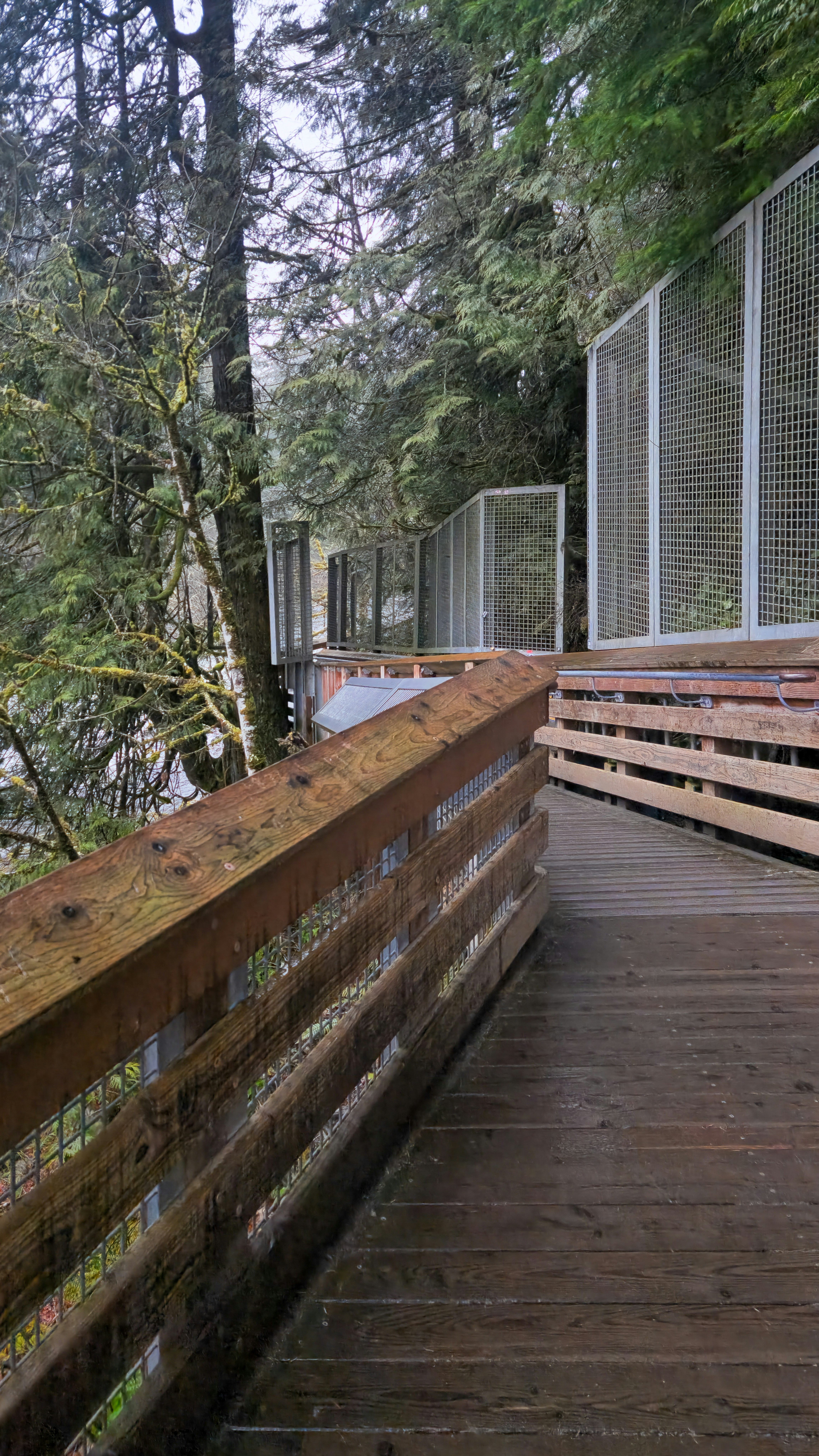 Photo by zoshuacolah