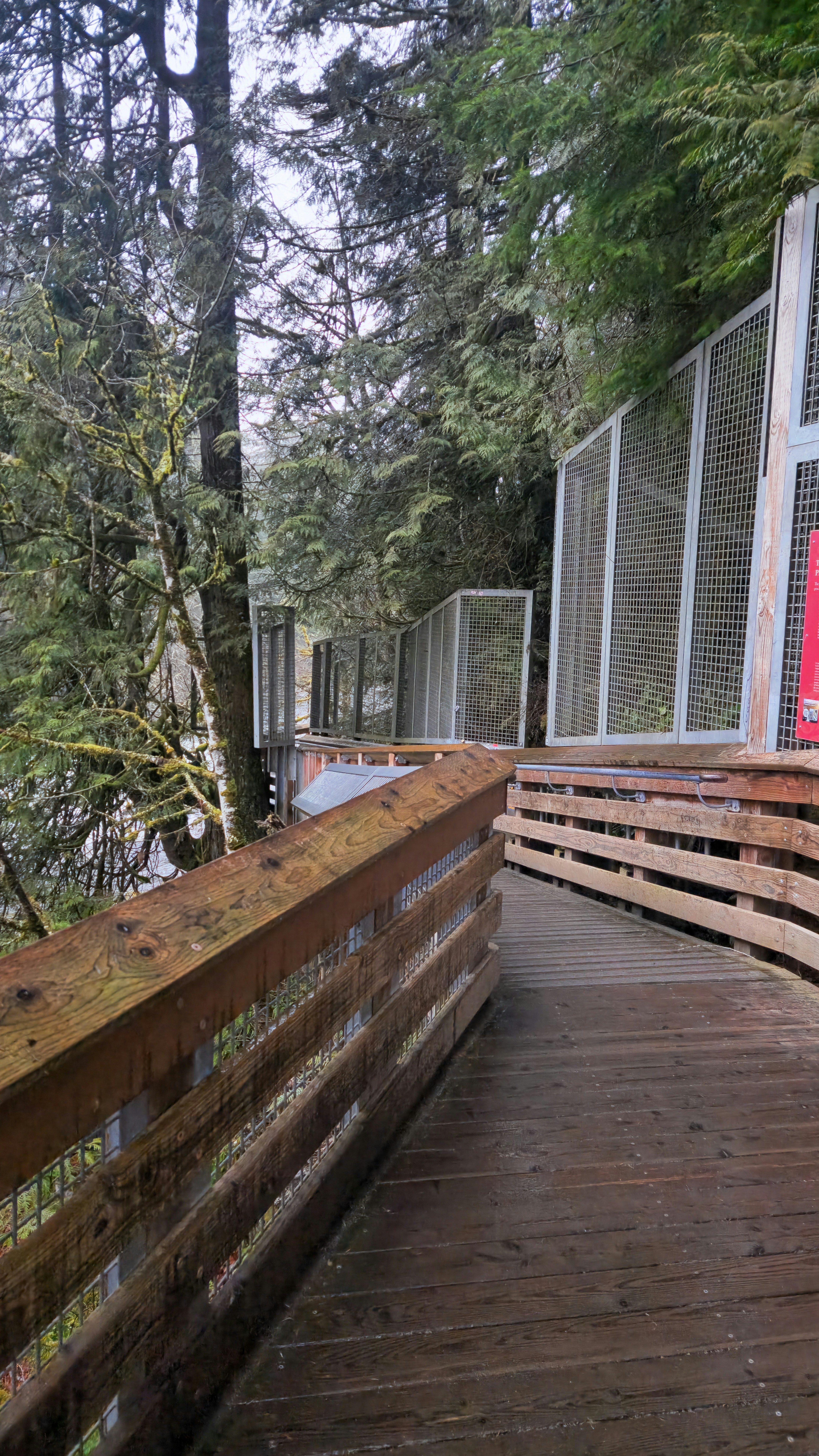 Photo by zoshuacolah