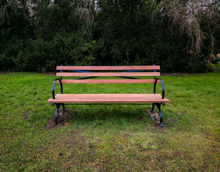 A wooden bench sitting in the middle of a field