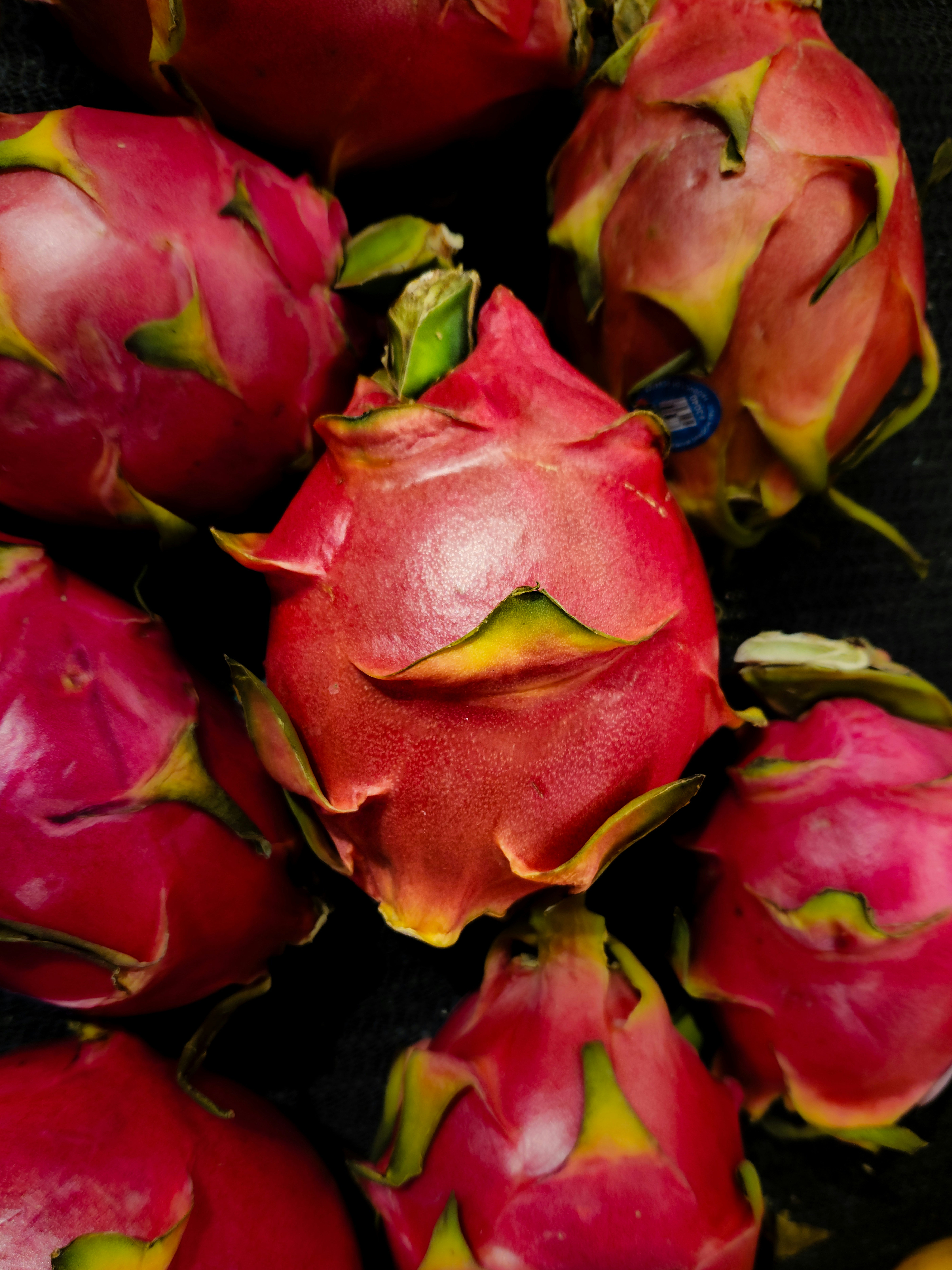 Photo by zoshuacolah