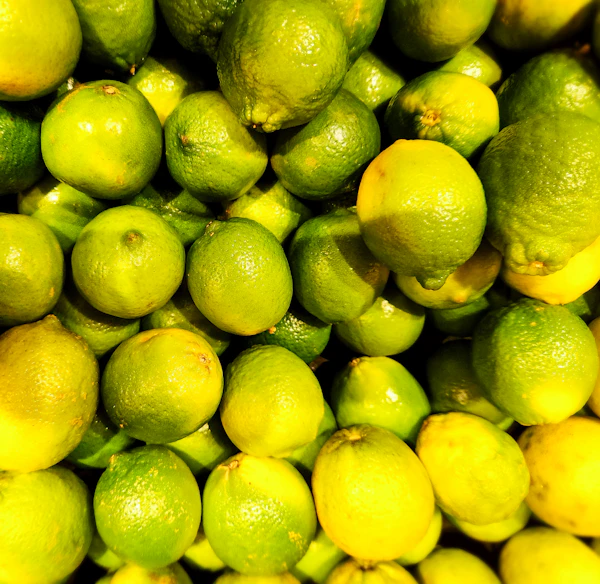 Calamansi
