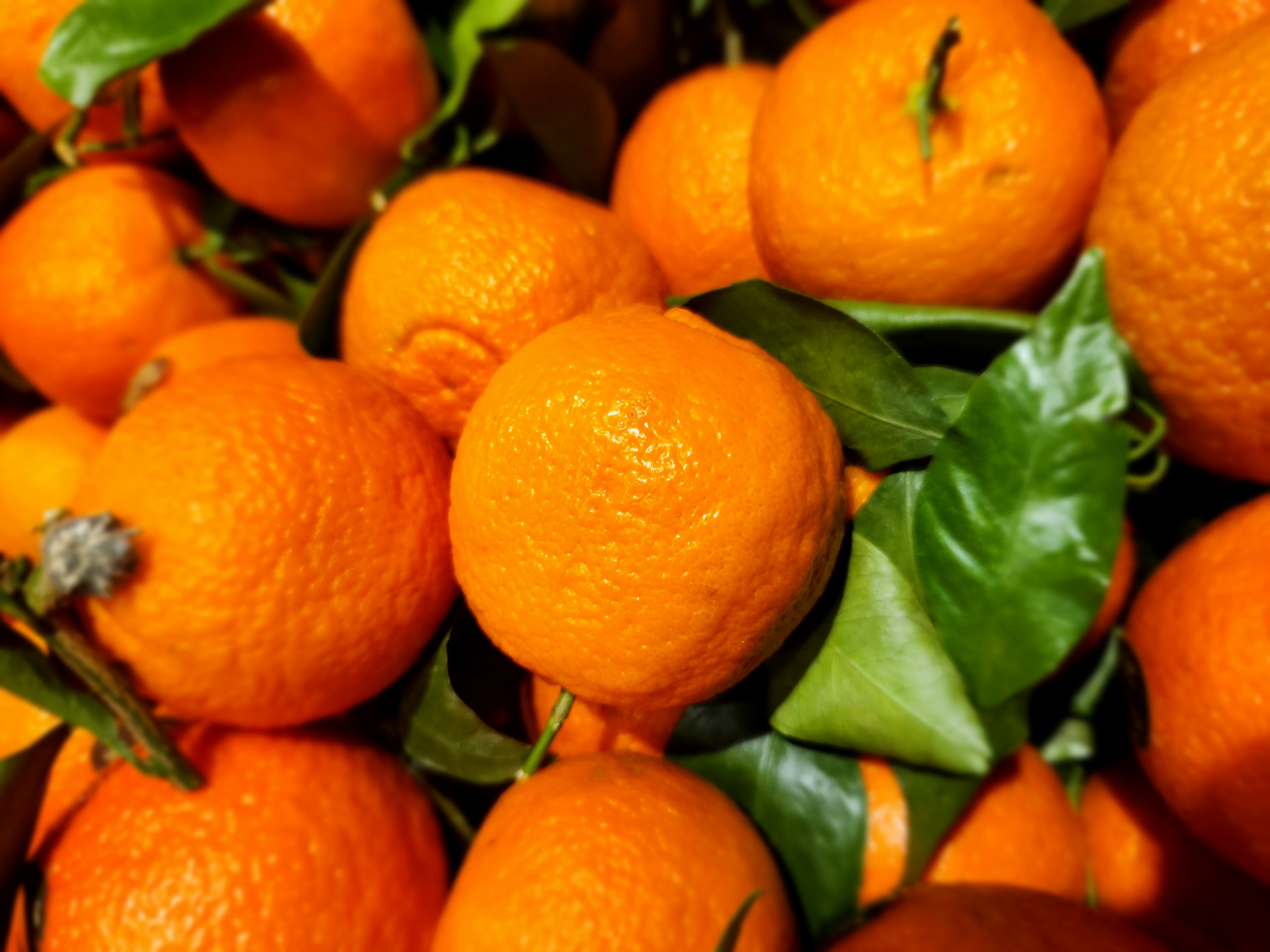 Photo by zoshuacolah