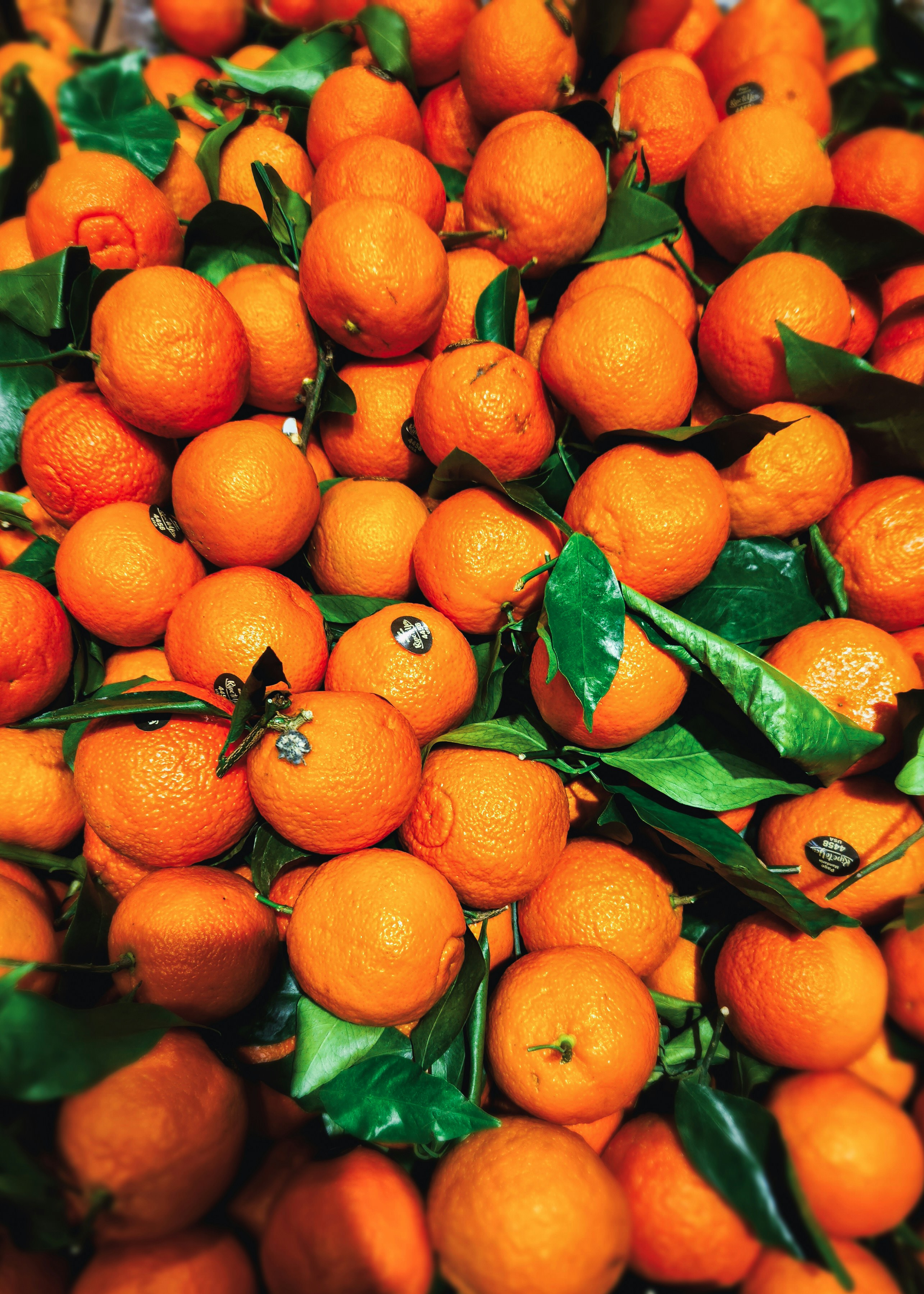 woman wearing yellow long-sleeved dress under white clouds and blue sky during daytime
