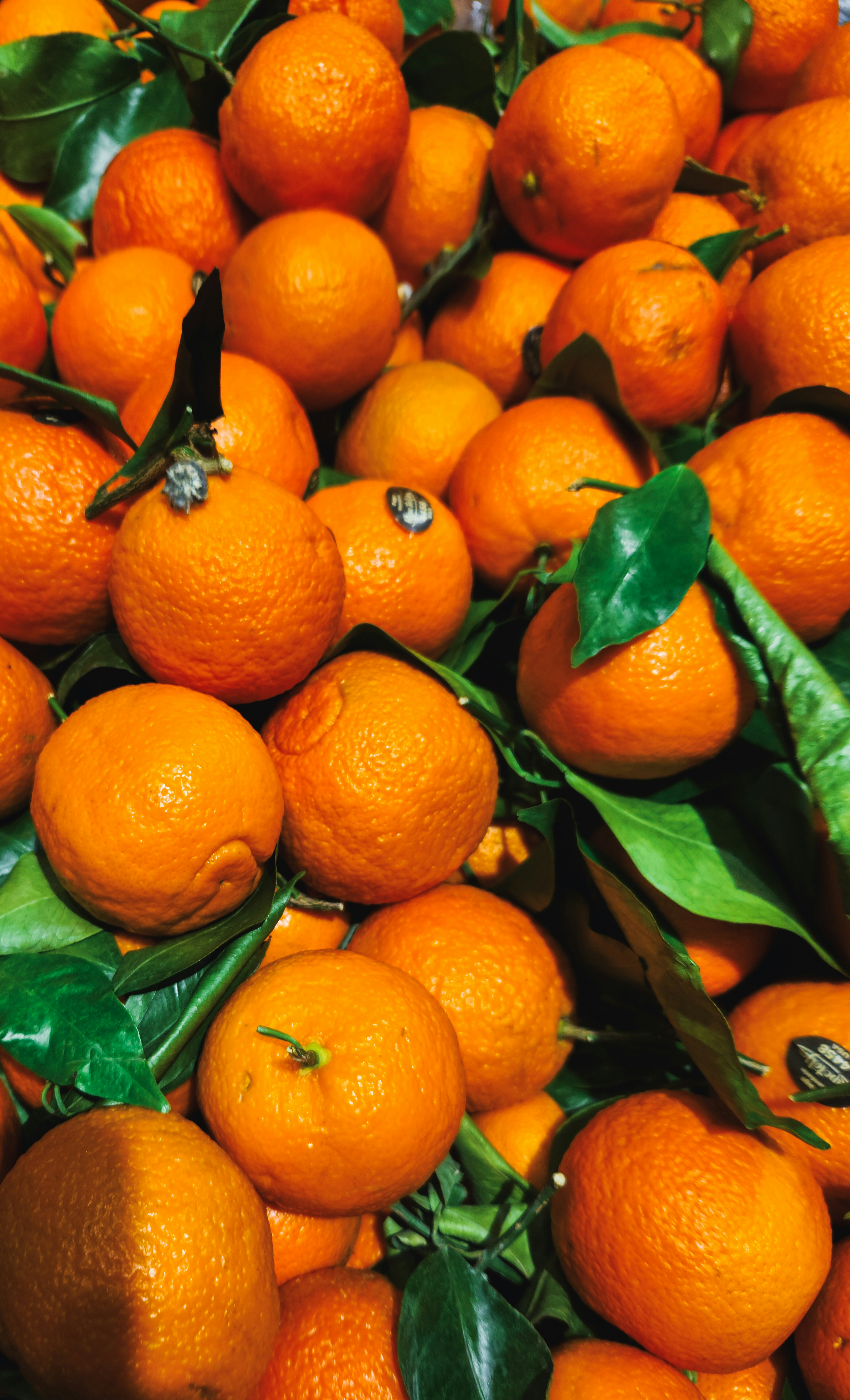 A pile of oranges with green leaves on them