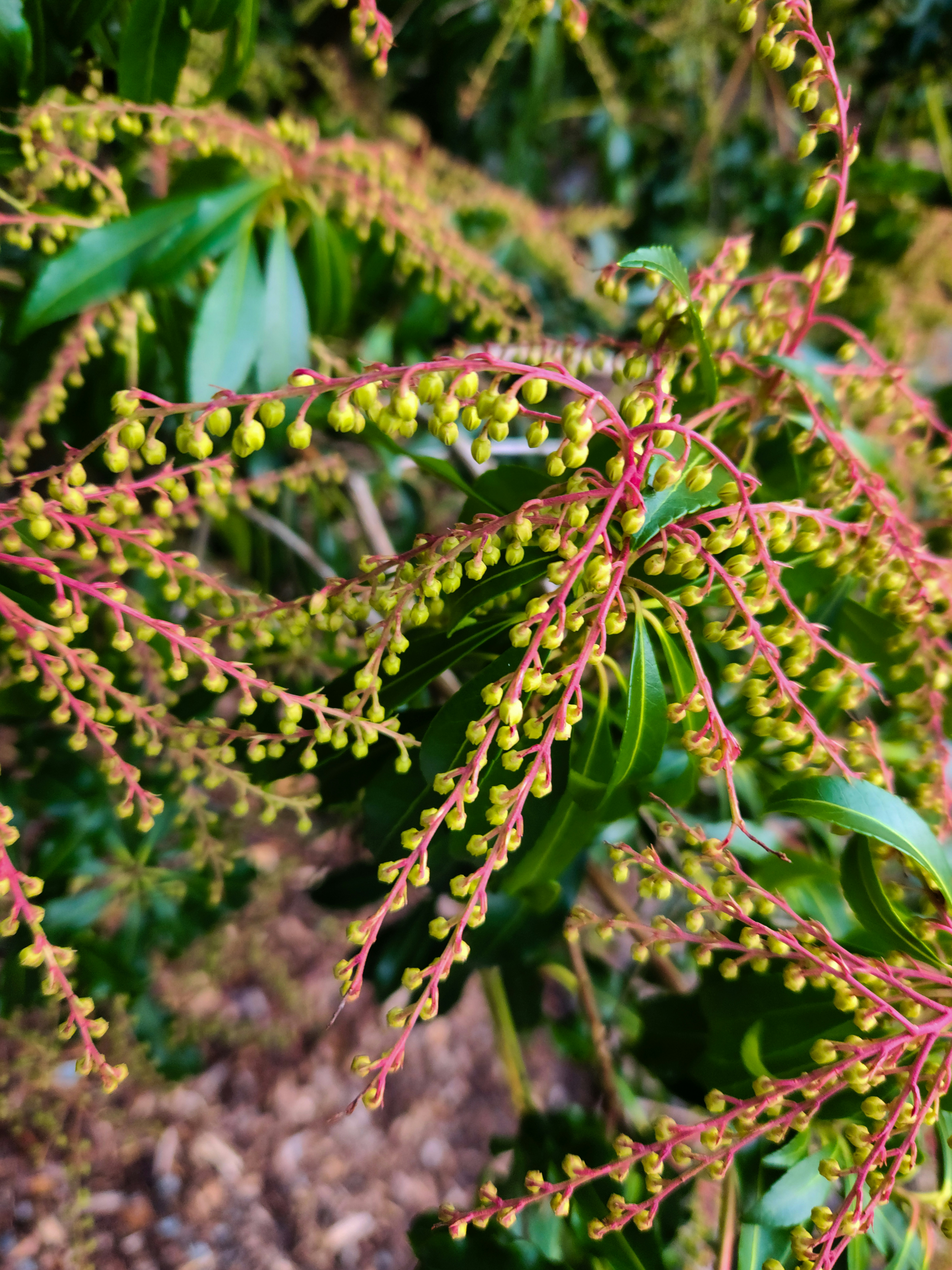 Photo by zoshuacolah