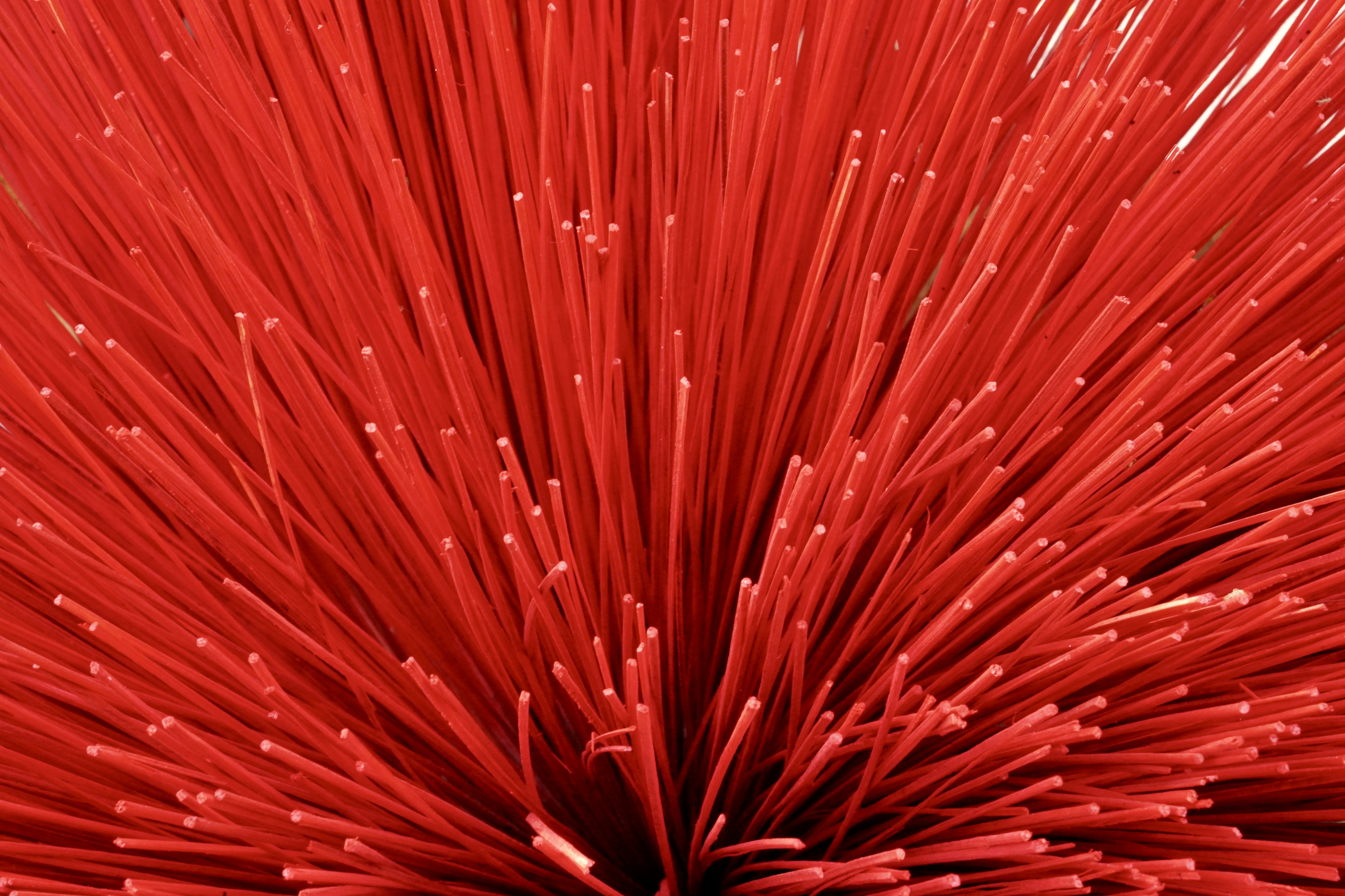 Photo by loloscott78