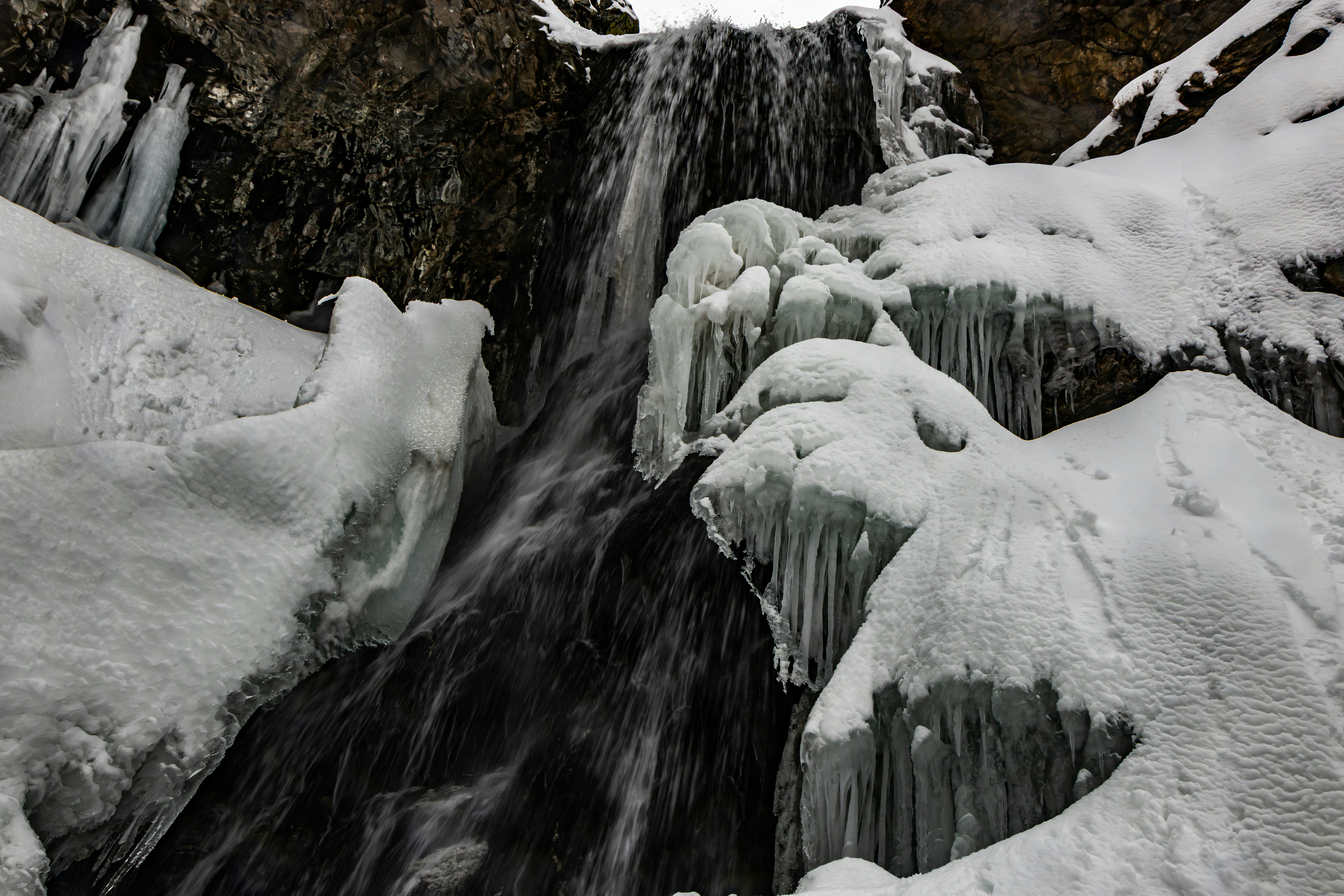 Photo by brice_cooper18