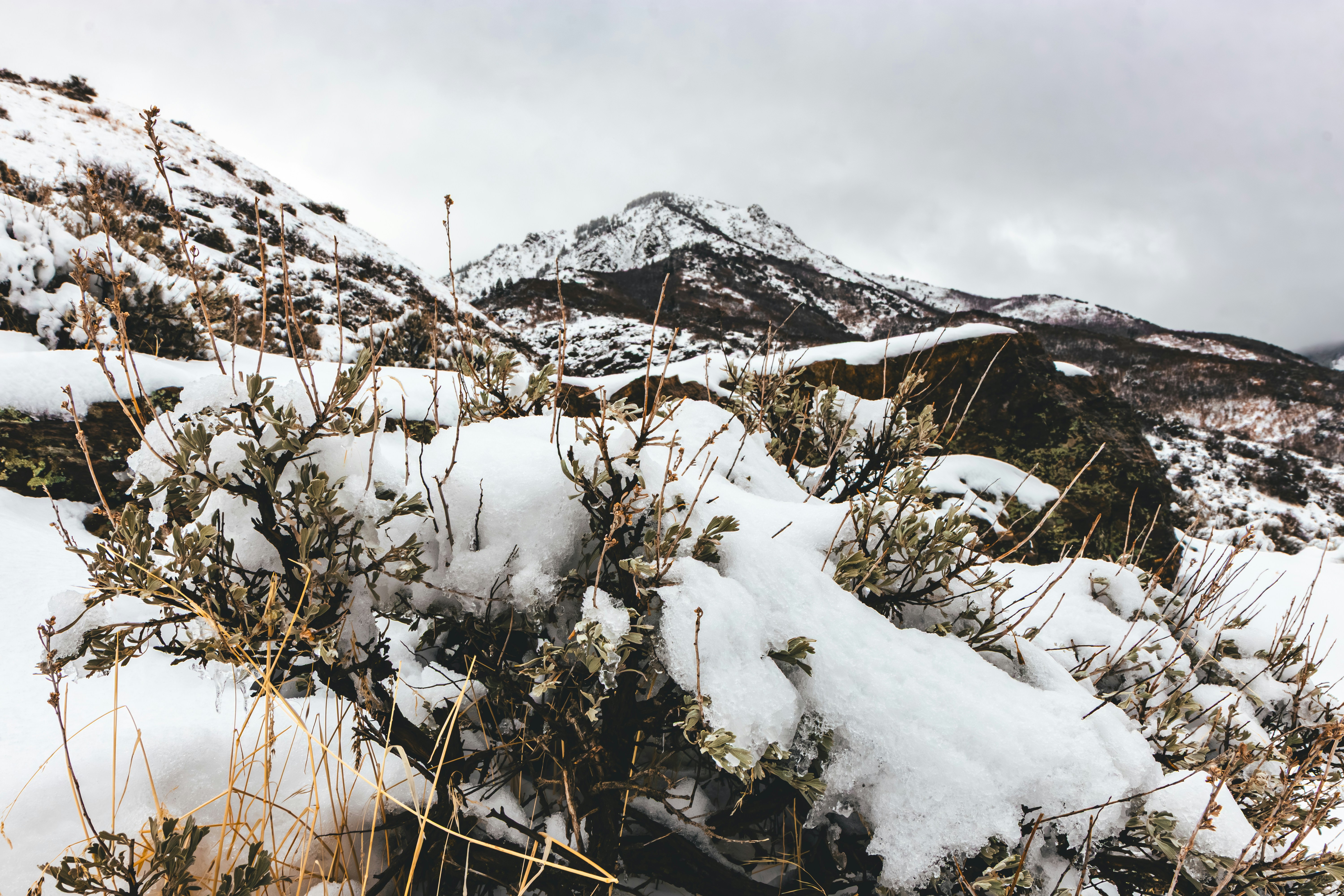 Photo by brice_cooper18