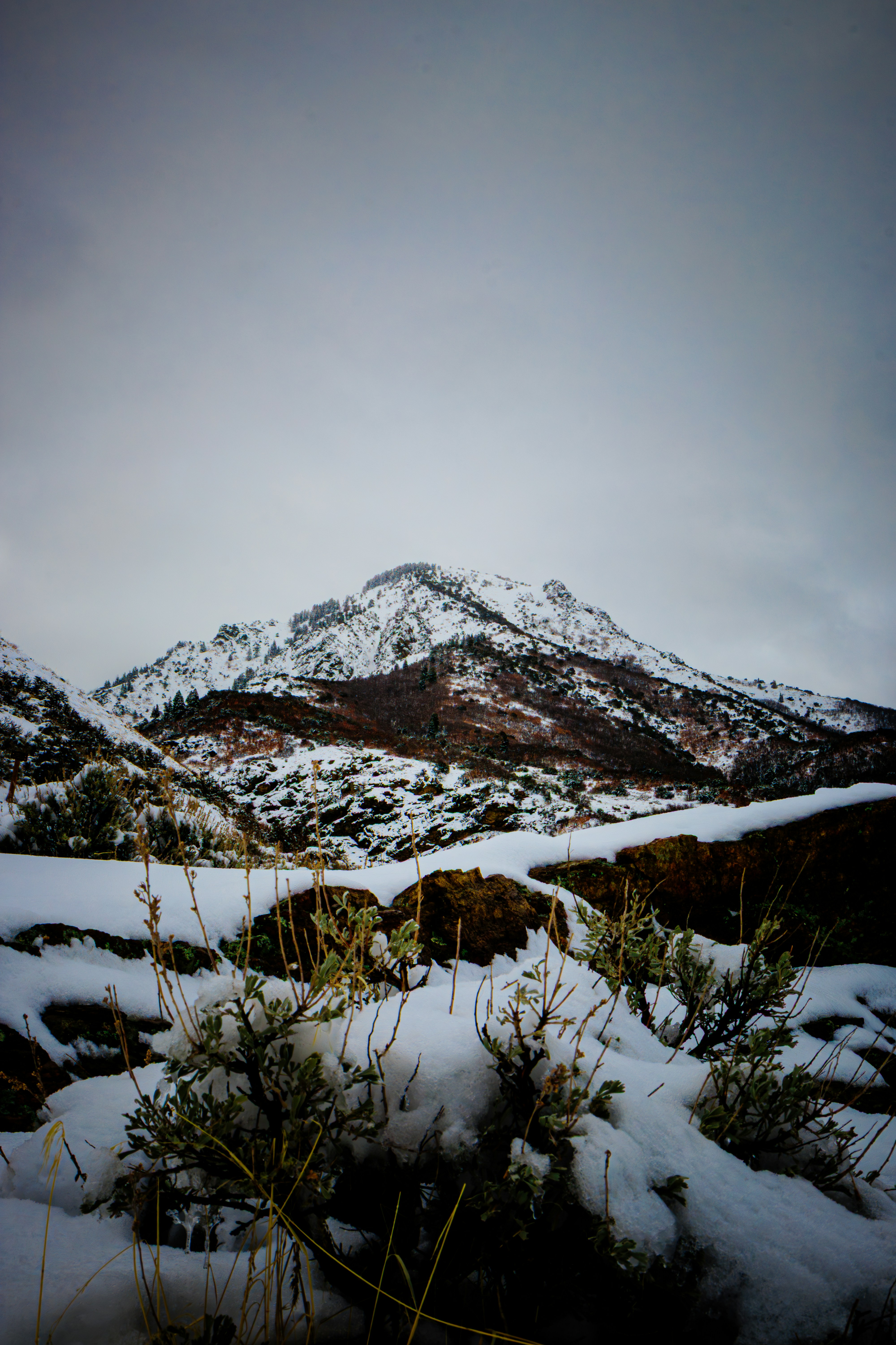 Photo by brice_cooper18