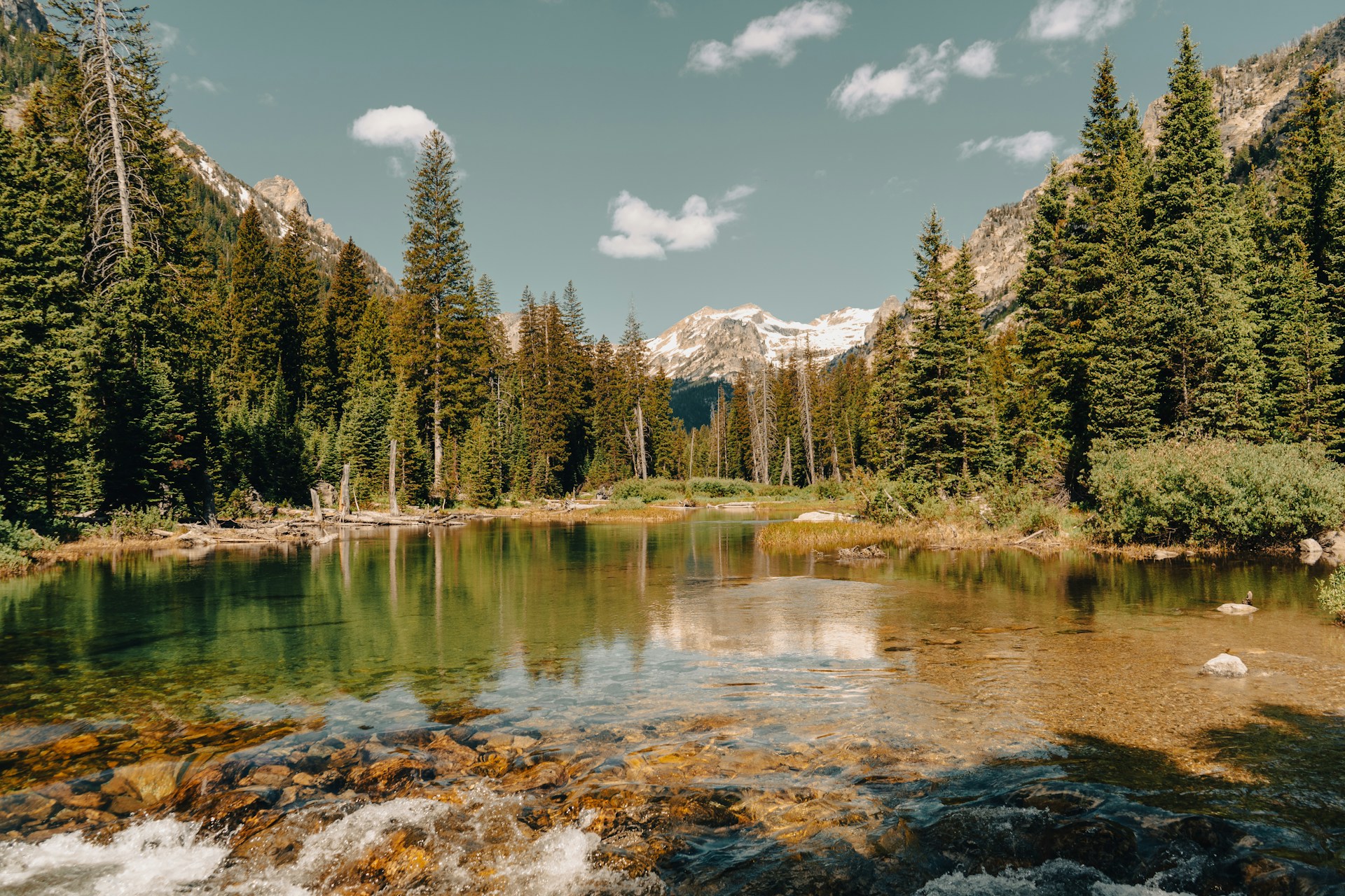 A serene lake is surrounded by forest and mountains.